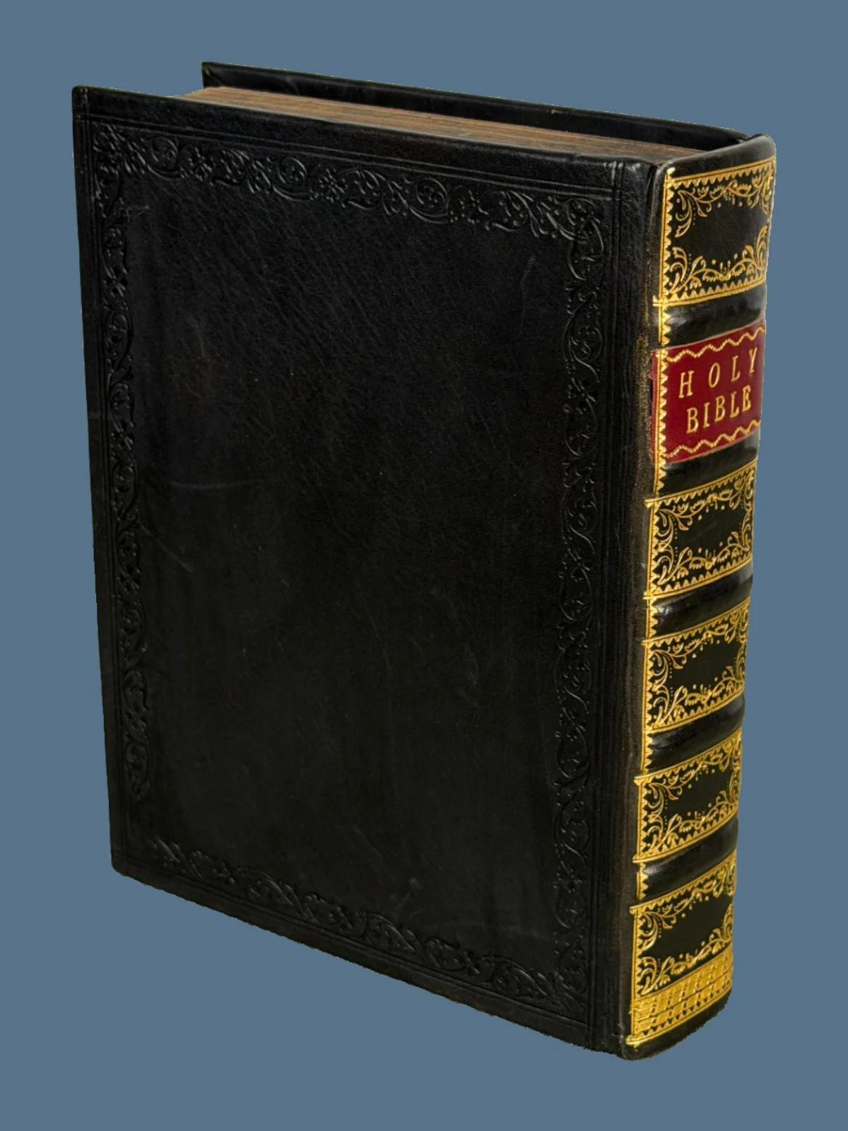 Illustrated Geneva Bible