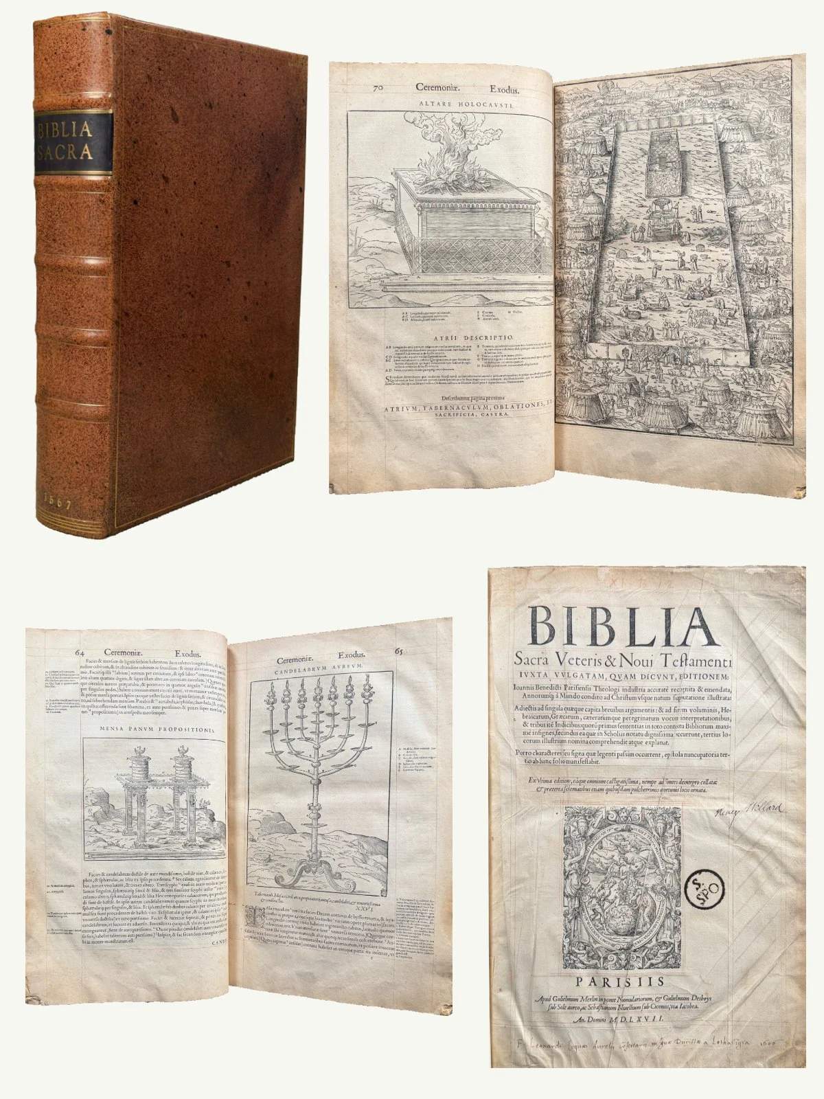 1567 Folio Illustrated Latin Vulgate Bible
