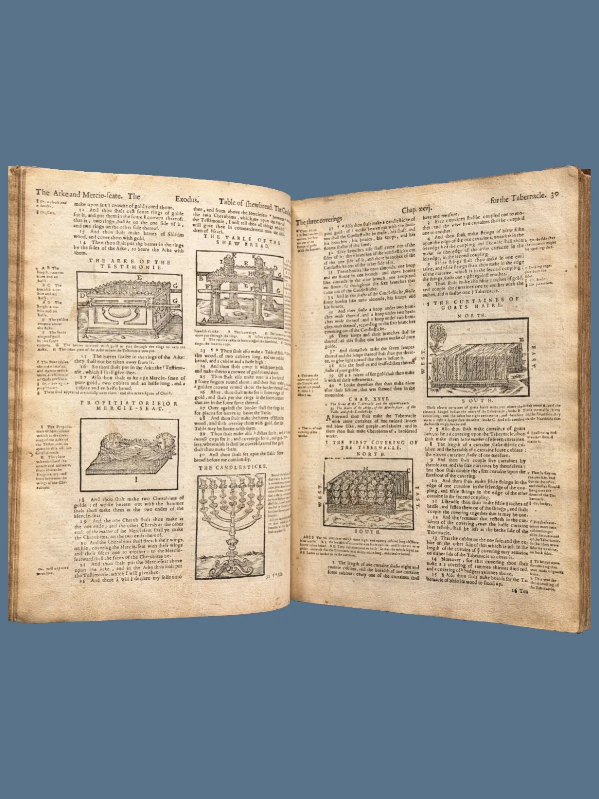 Geneva Bible Illustrations