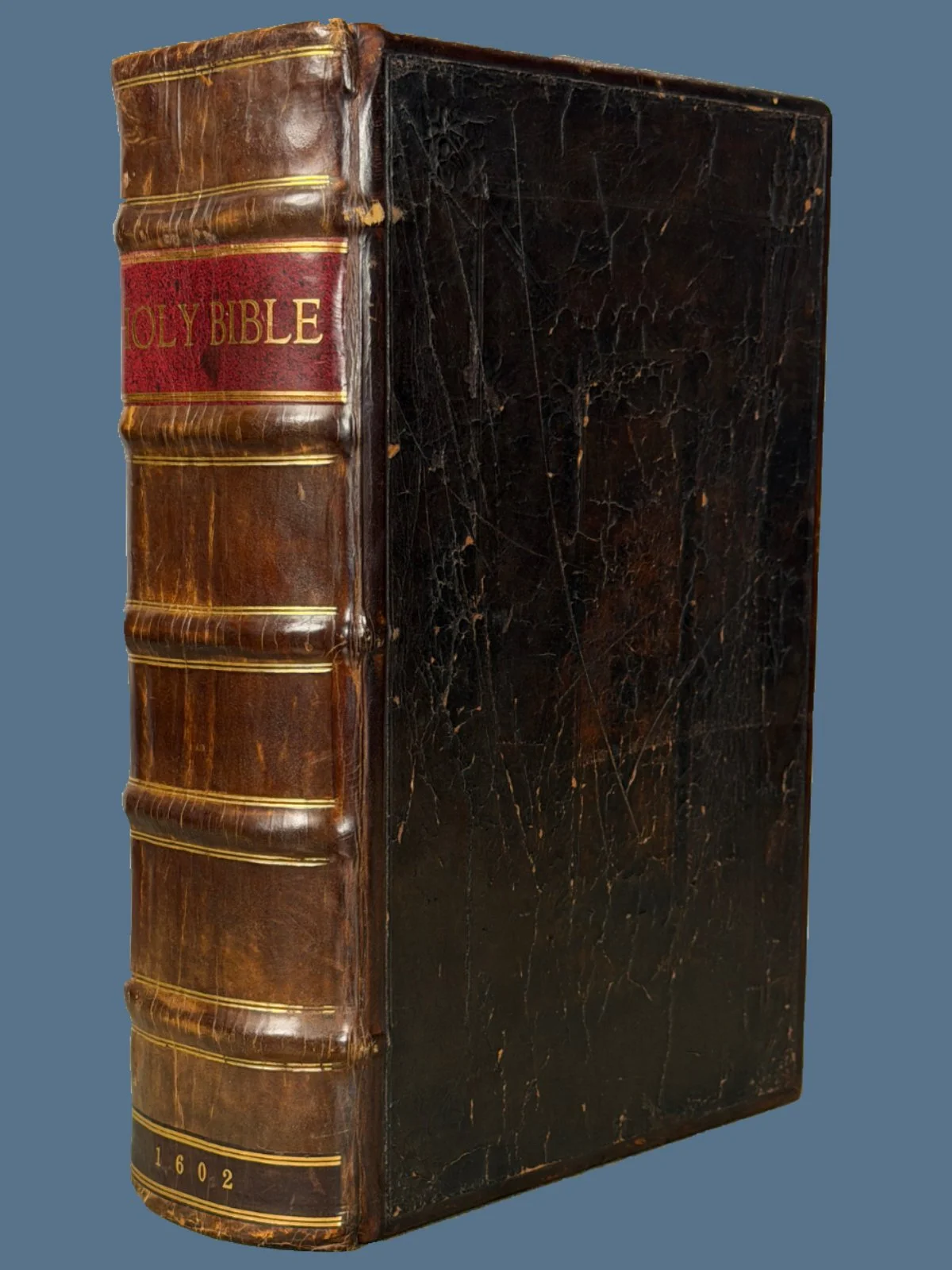 Geneva Bible in Contemporary Boards