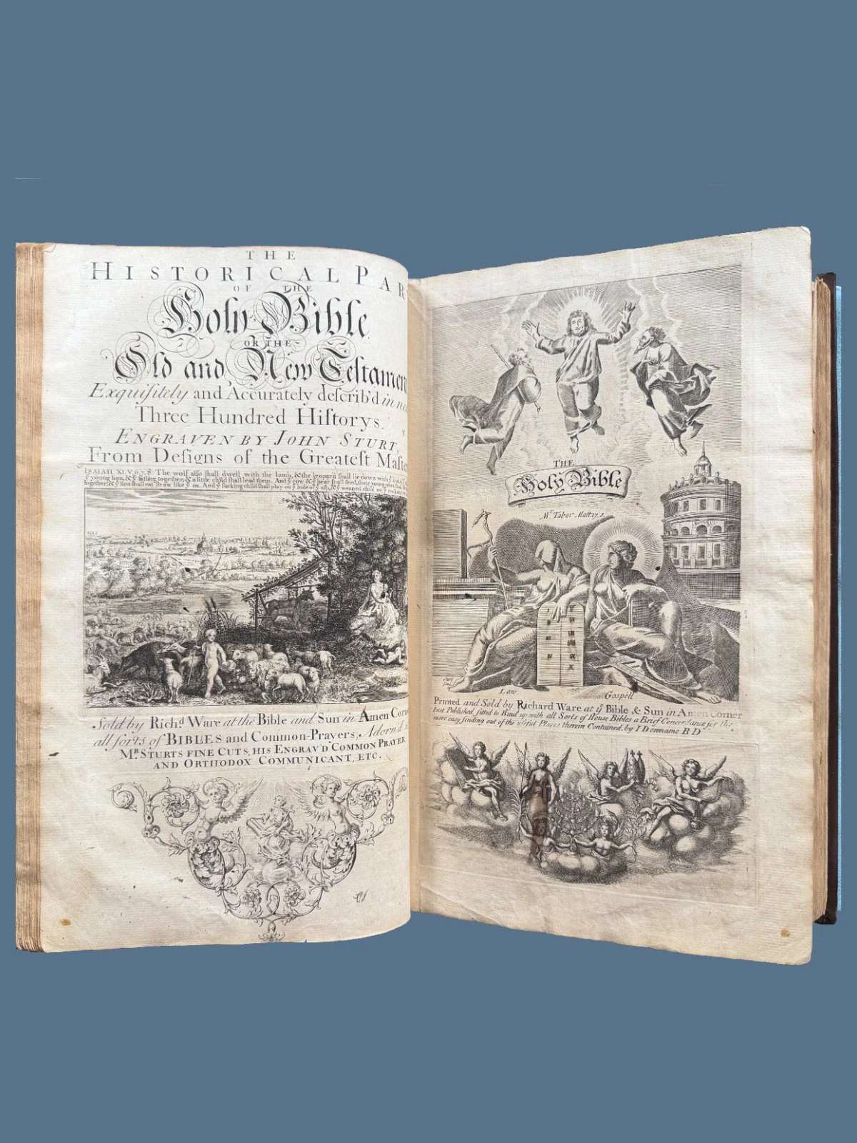 Illustrated King James Bible