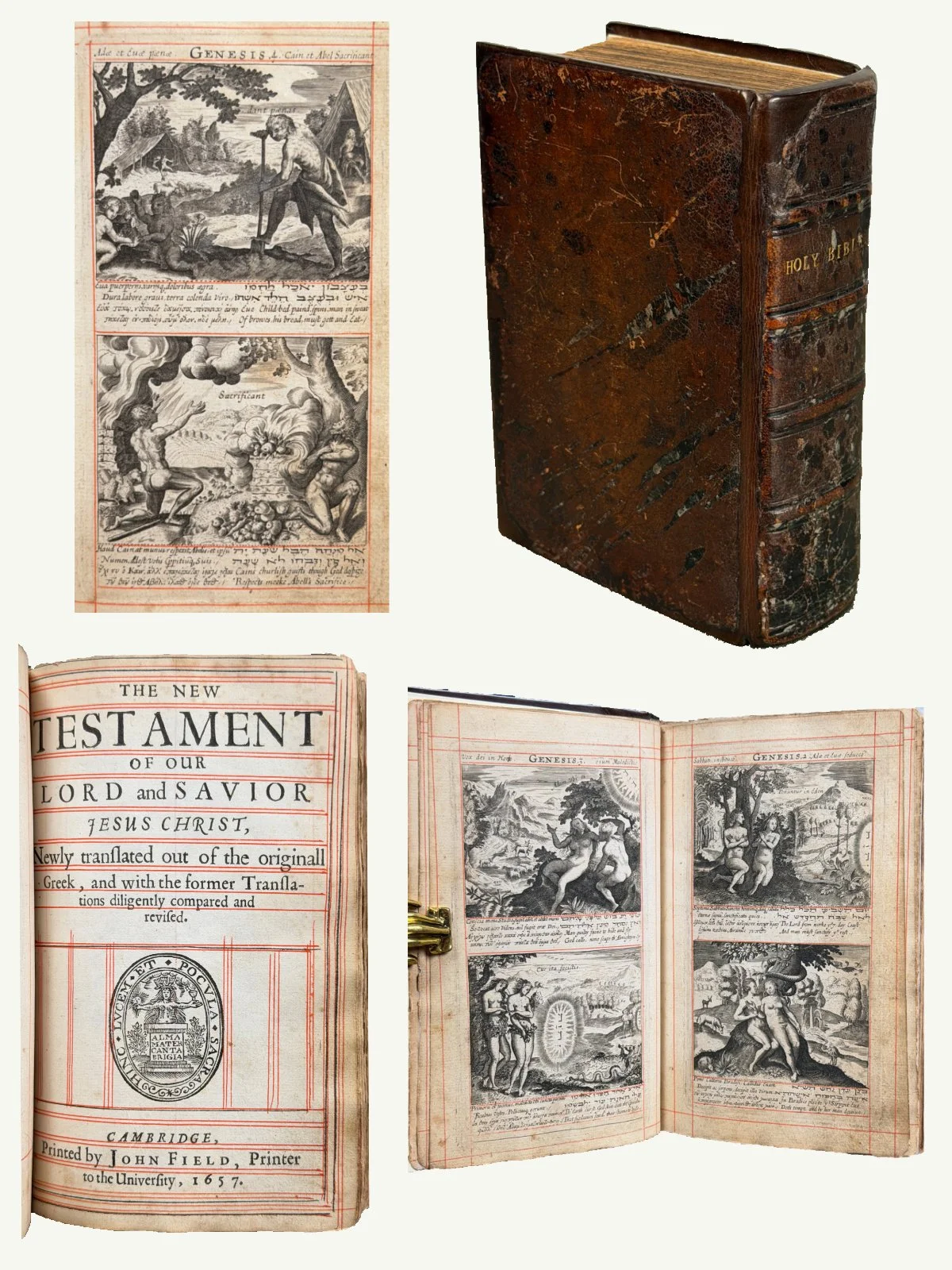 1657 Red Ruled Cambridge King James Bible with over 100 Illustrations