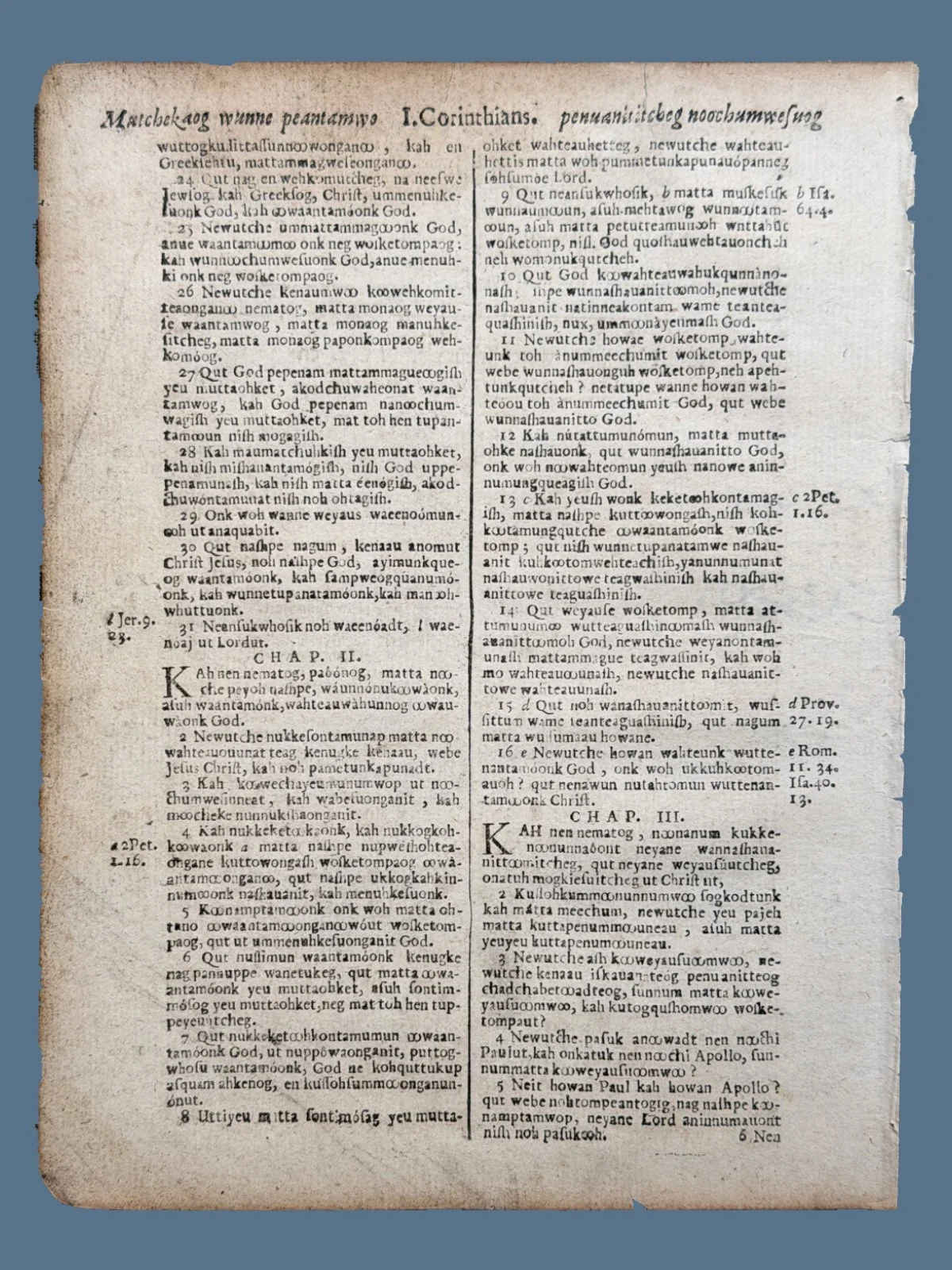 Eliot Indian Bible Leaf