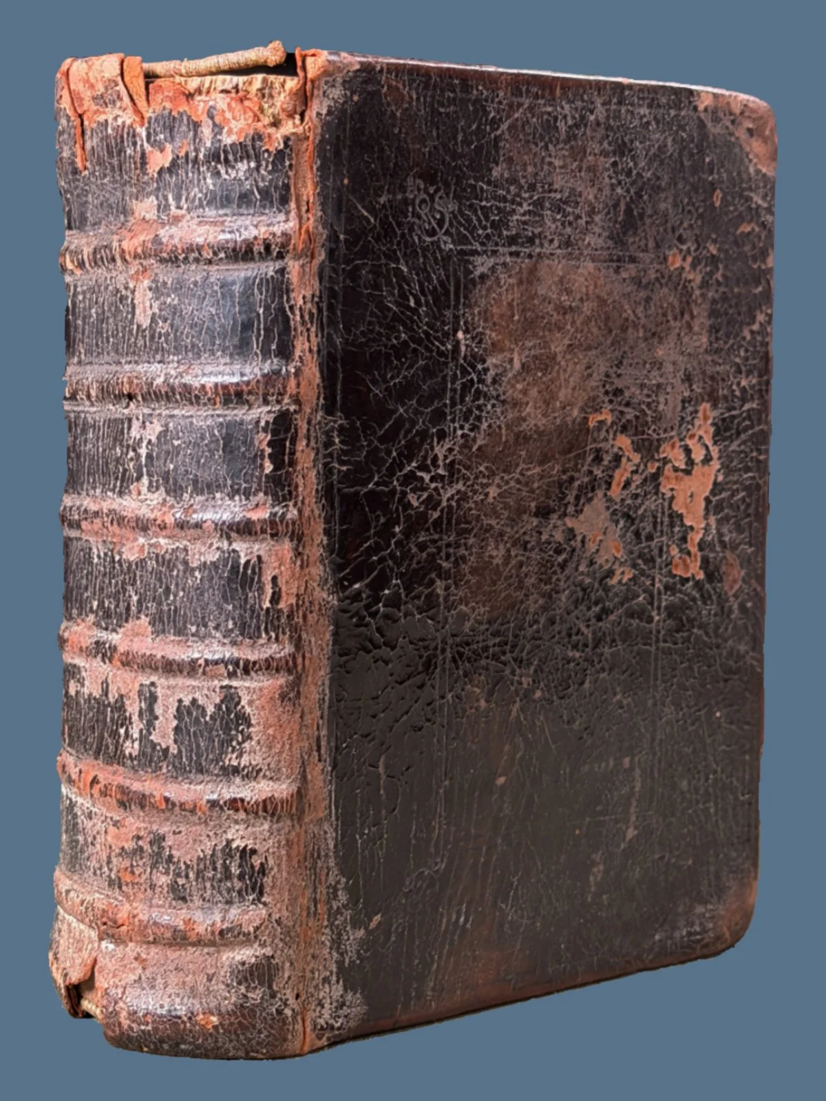 Illustrated Geneva Bible