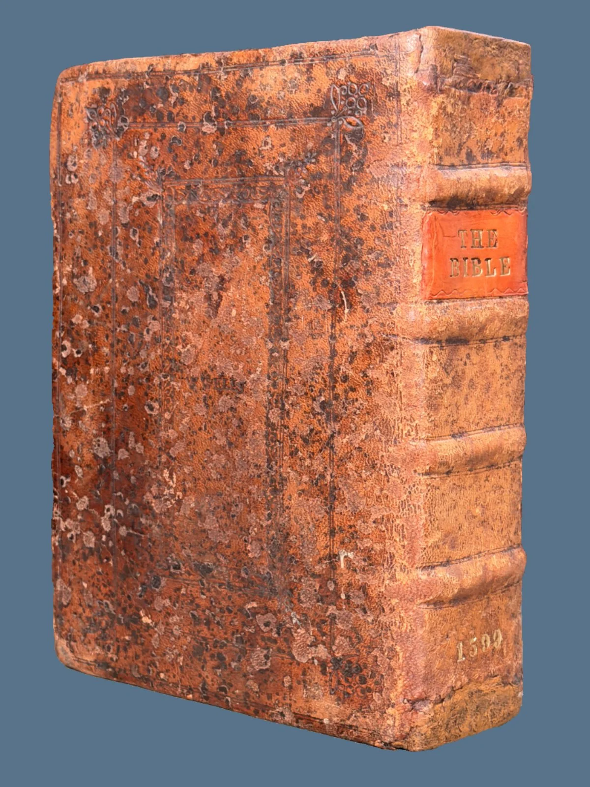 1599 Pirated Breeches Bible