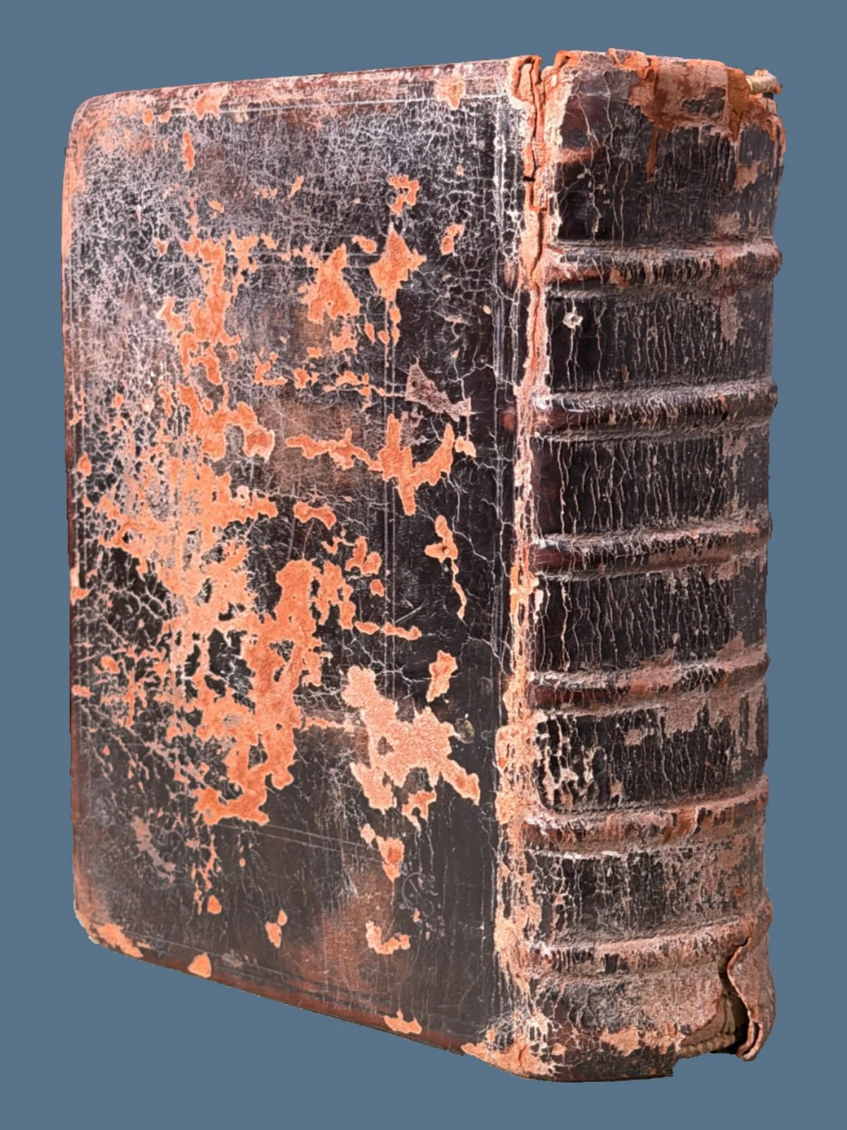 16th Century Geneva Bible