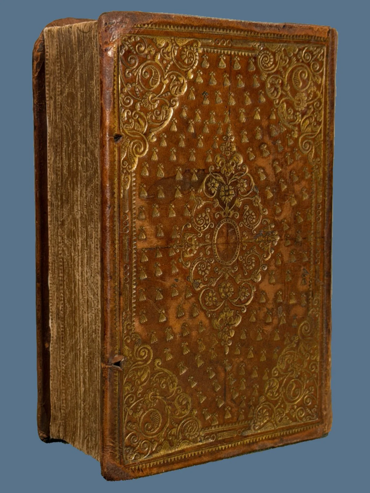 Gilt Stamped Binding on a Bible