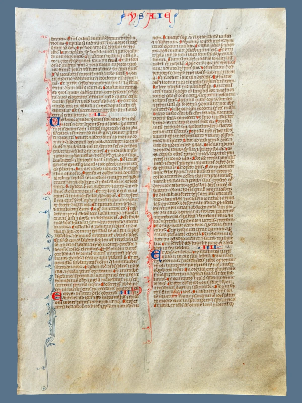 1250 Latin Vulgate Bible Leaf