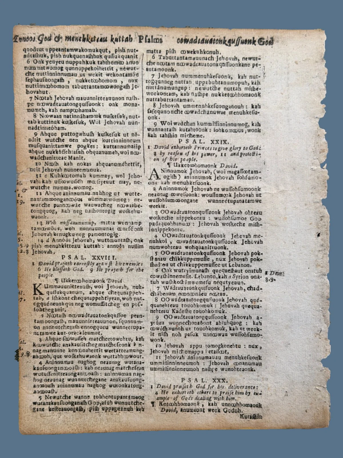 U88-2.jpg