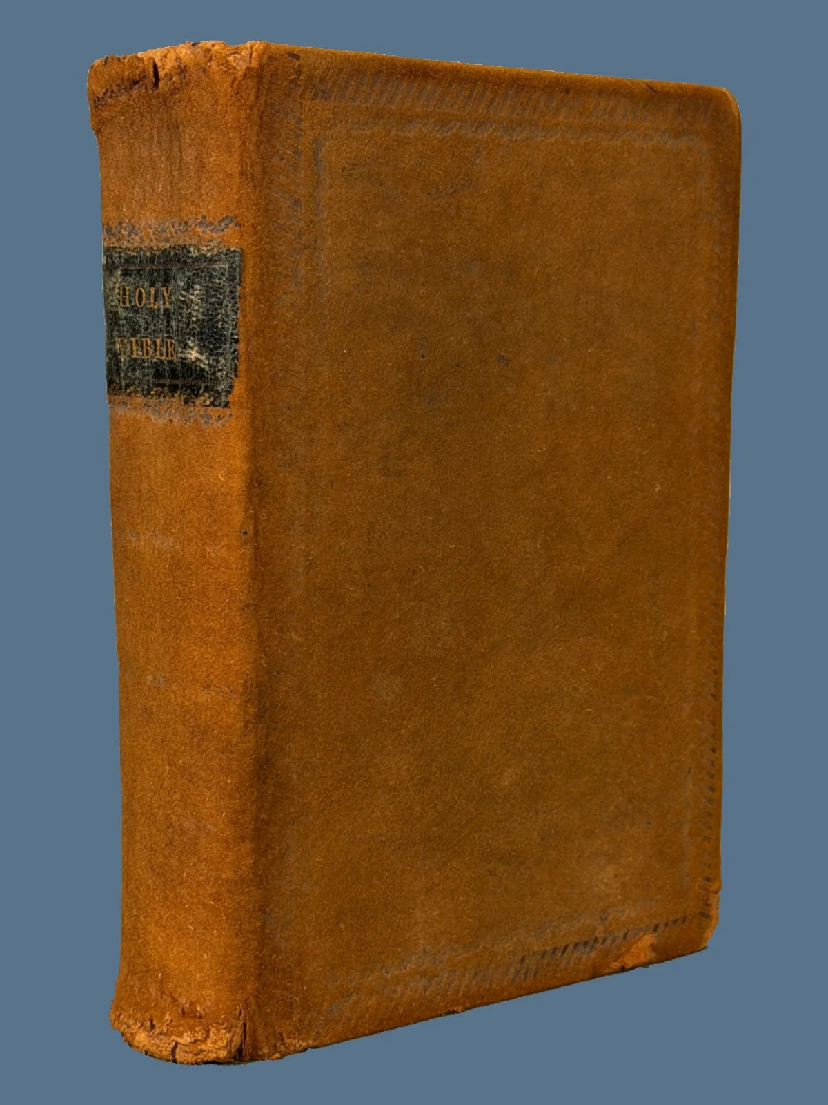 V06-1.jpg