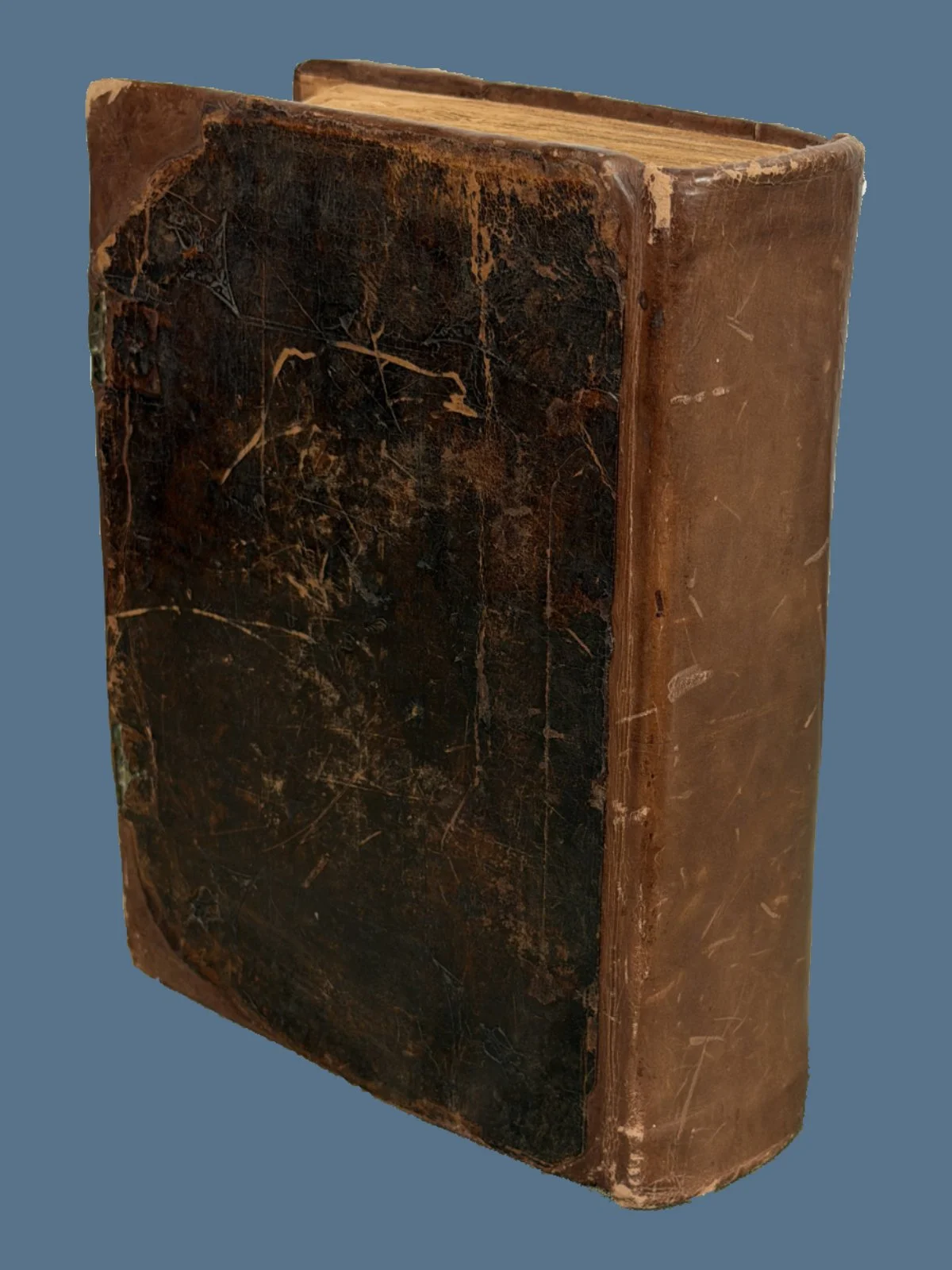 1599 Breeches Bible