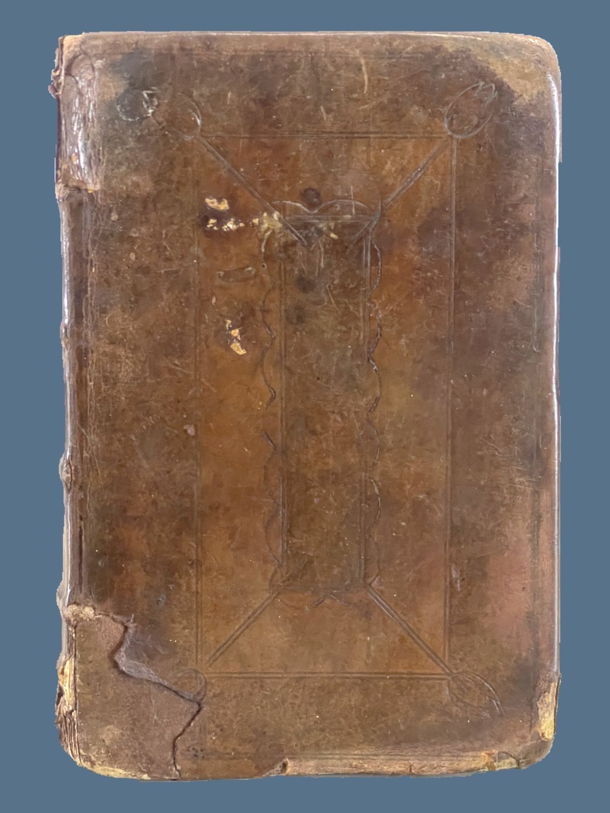 R14-1.jpg