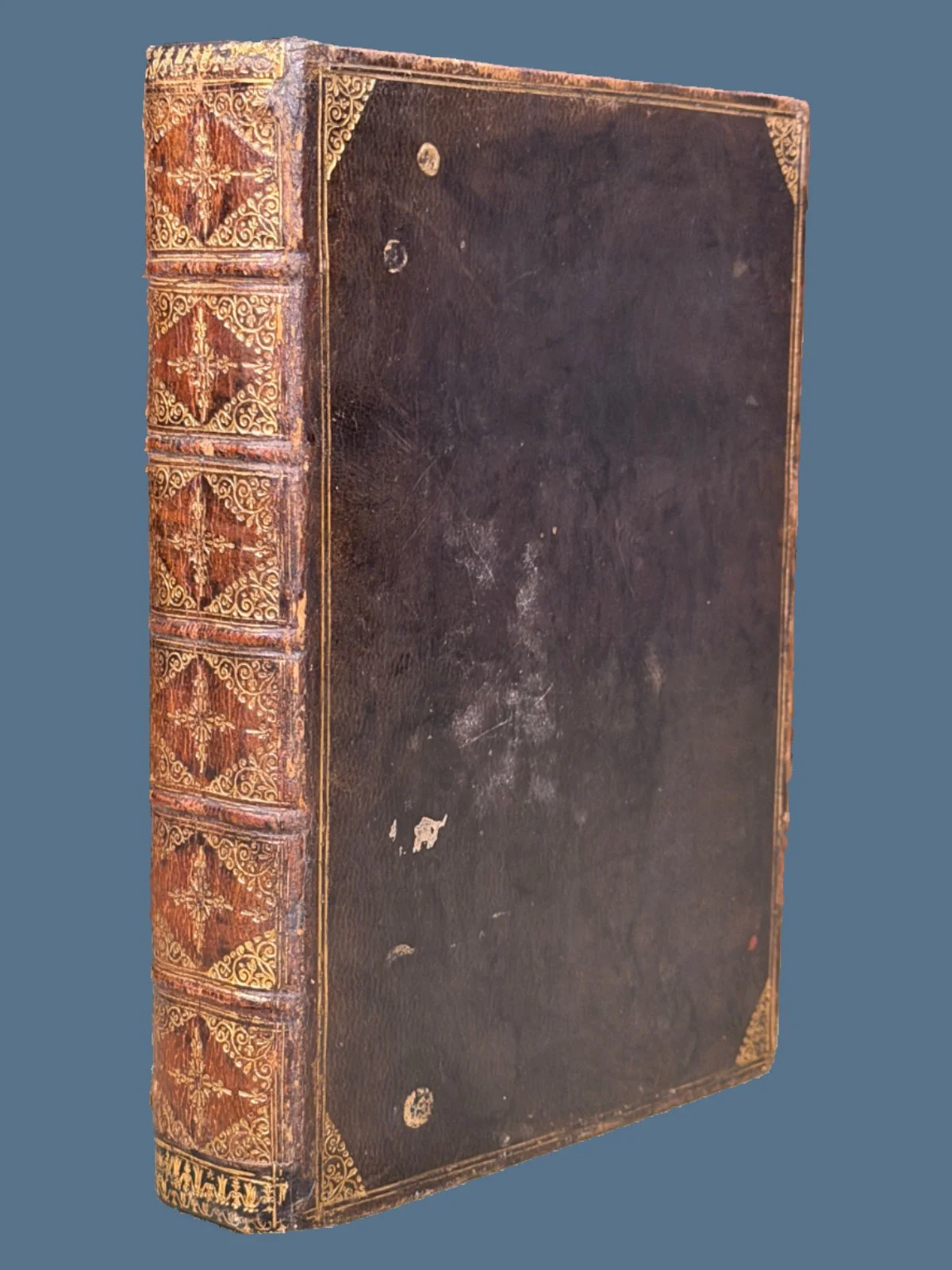 King James Bible in Contemporary Binding