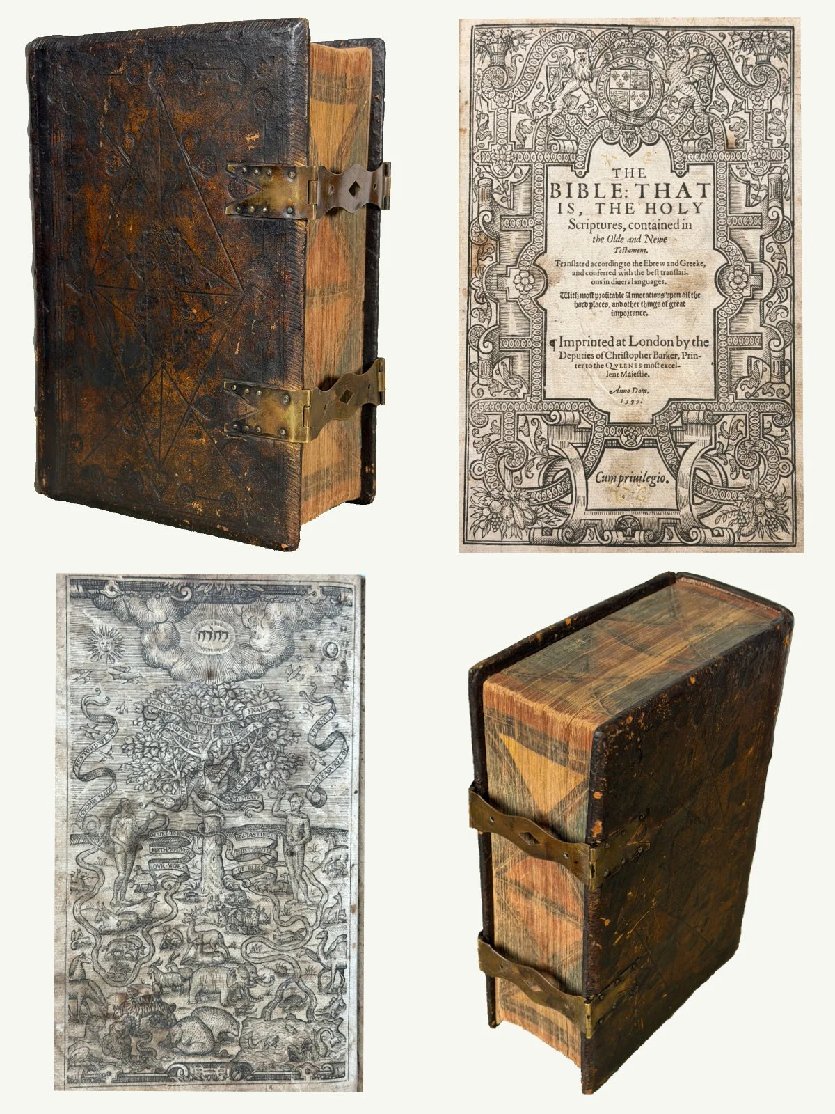 1595 Illustrated Folio Geneva Bible Over Oak Boards with Painted Edges and Clasps