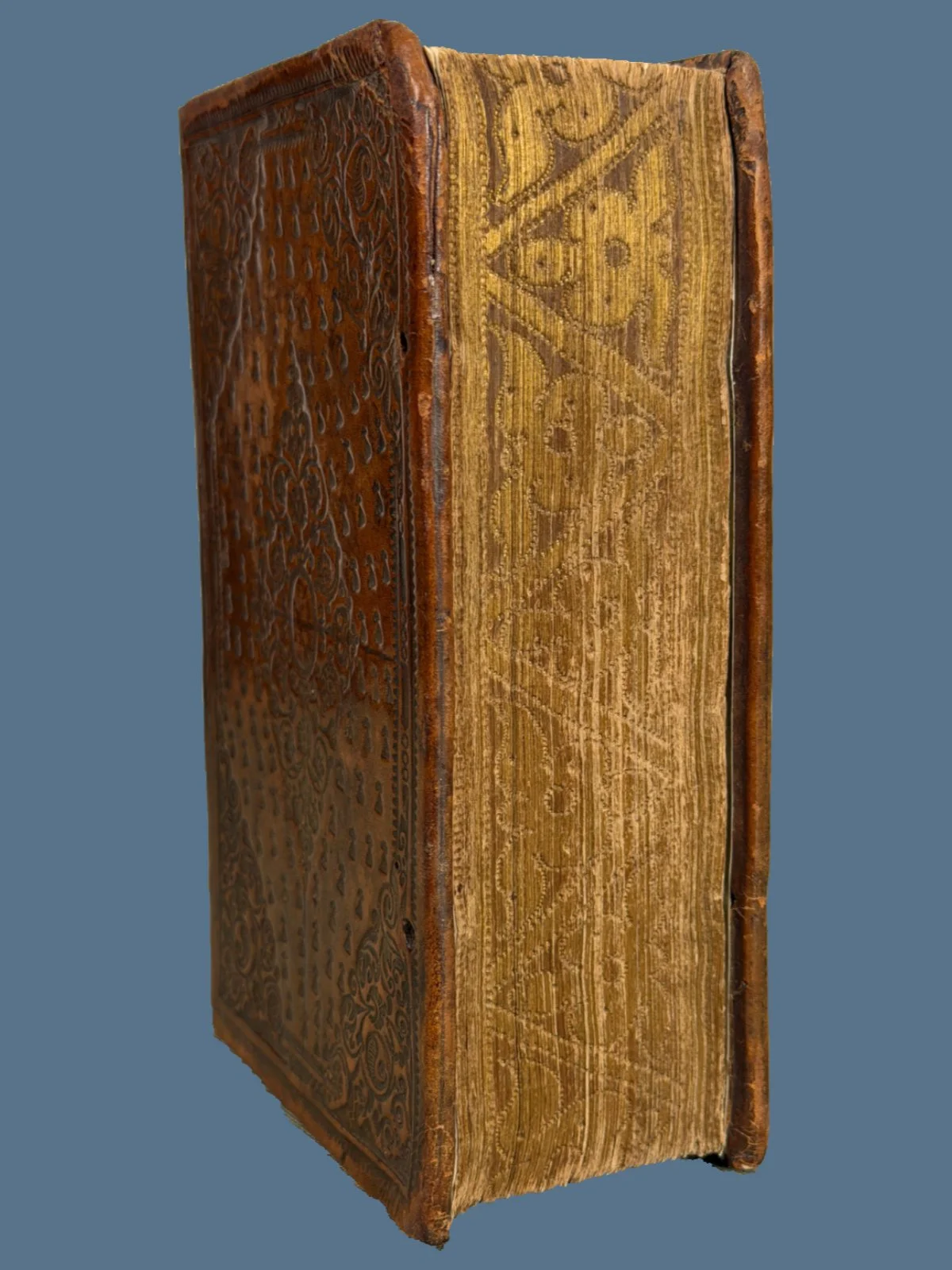 Gauffered Edges Bible