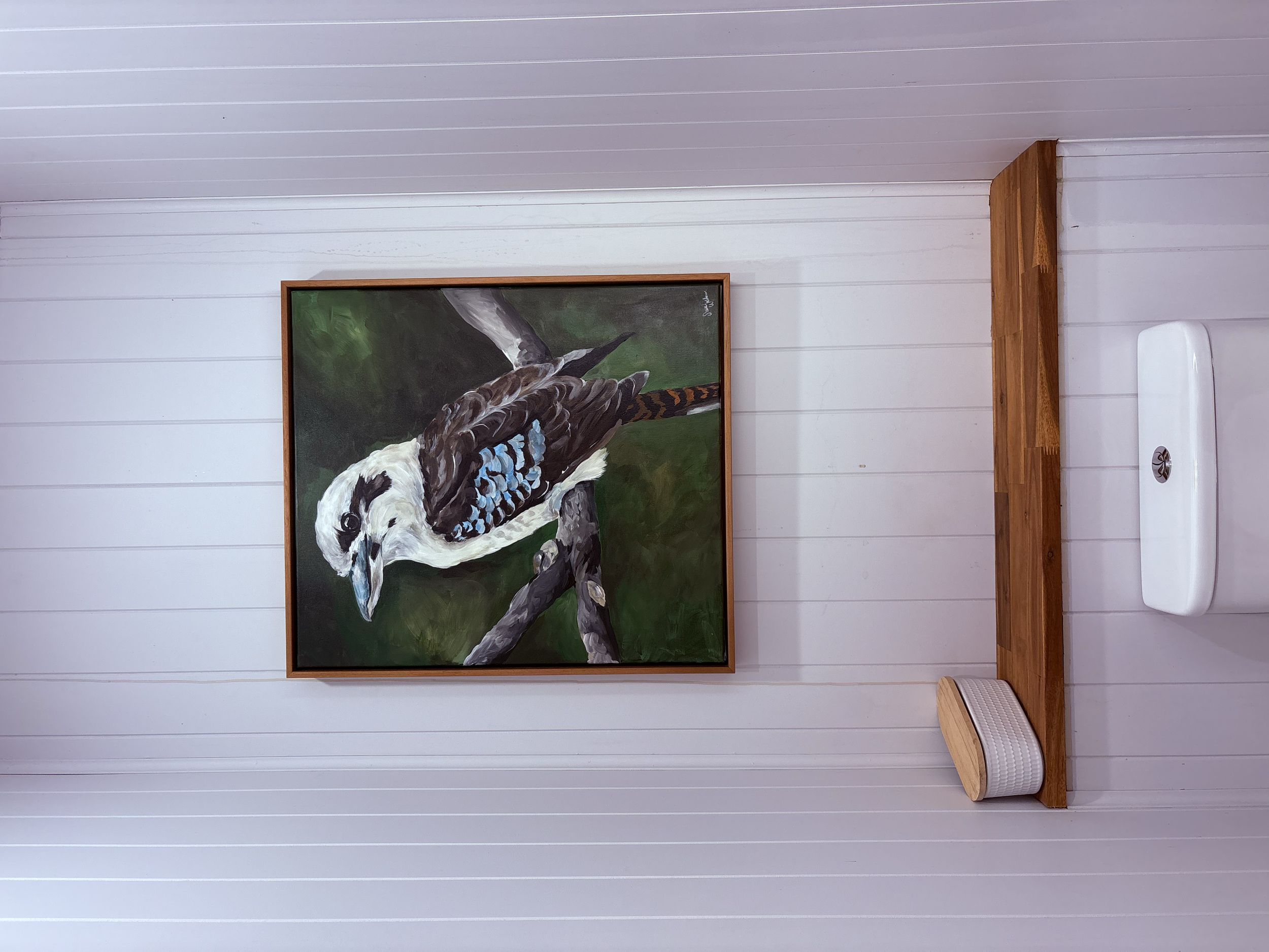 Kookaburra Commission