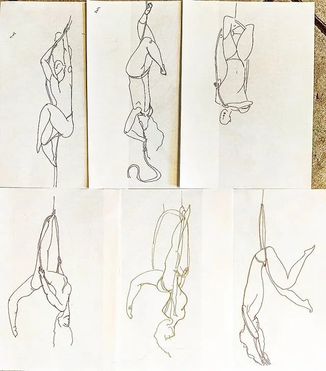83/100 here are a bunch of 3min #aerialrope and #lyra poses by @kygwen during today's @distanceddrawing #circussunday session
.
.
.
.
.
#the100dayproject #the100dayproject2020 #katdrawscircus #quarantineart #quarantinedrawing #artinisolation #figurat
