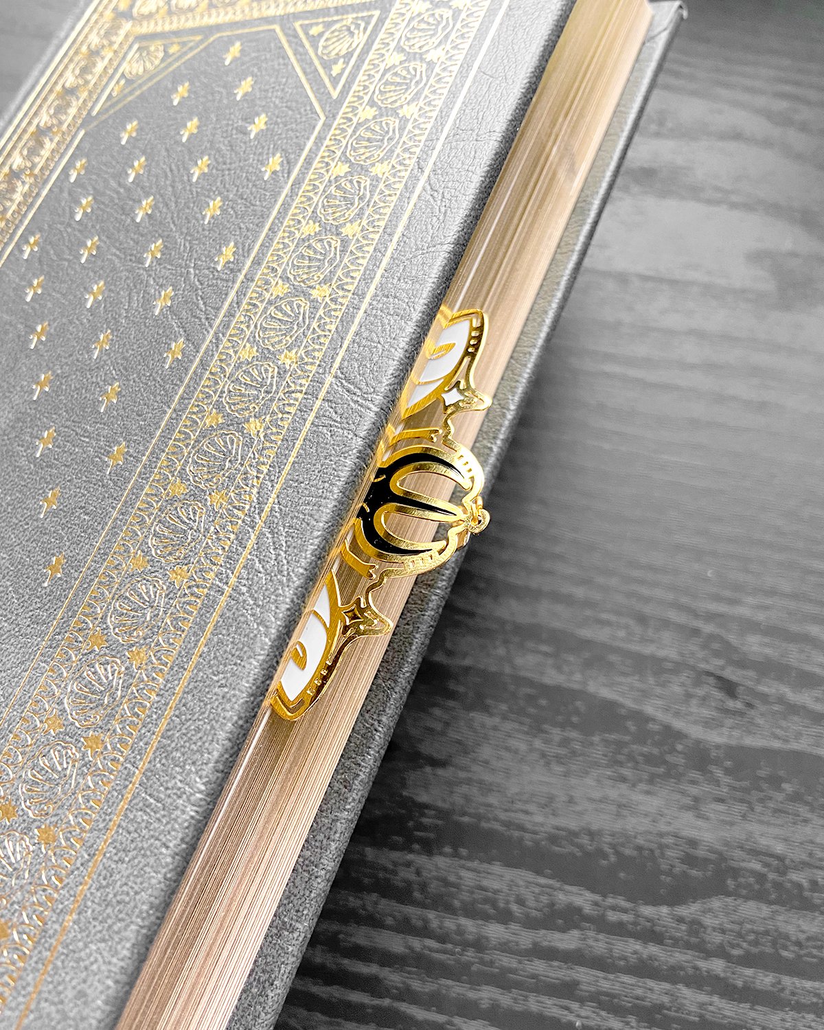 Bettle Bookmark_8.jpg