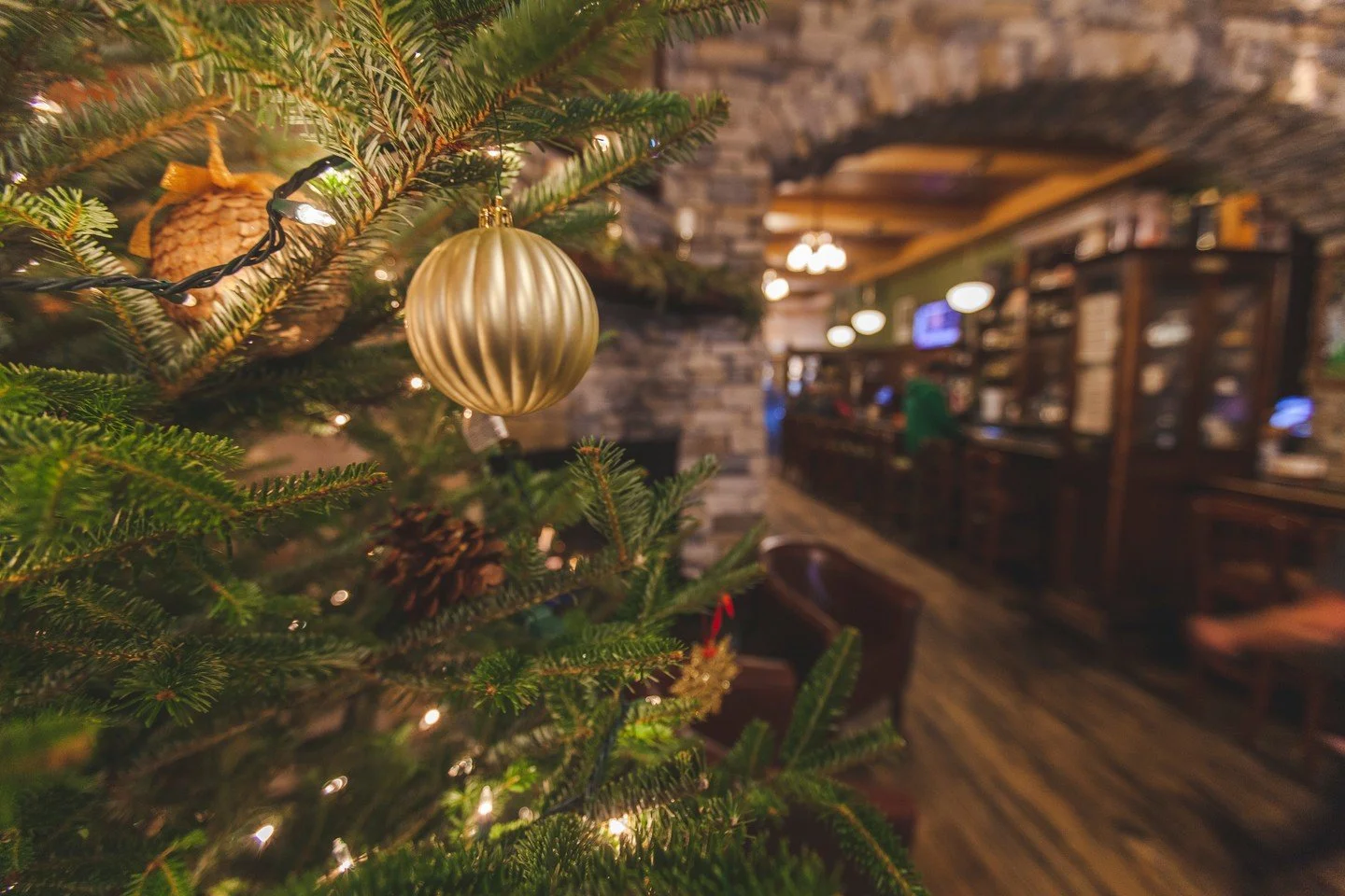 The holiday season is coming&mdash;host your party at Annie Bailey&rsquo;s! Our lively downtown Lancaster pub is perfect for celebrations, happy hours, and festive gatherings. Choose from our Irish classics or work with TFB Catering for a custom menu