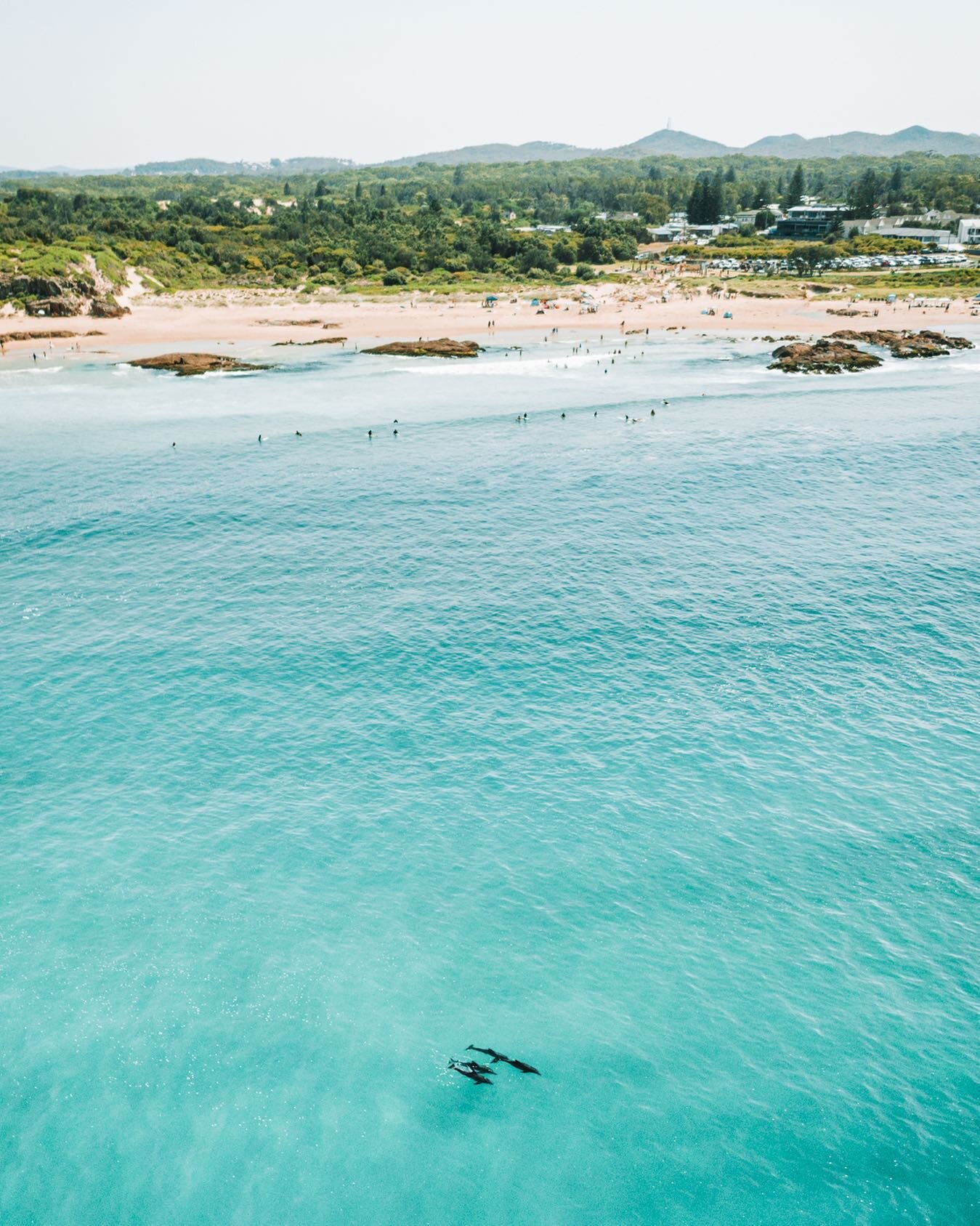 The crystal clear waters of @portstephens 🐬
.
.
.
#portstephens #nsw #birubibeach #visitnsw #visualsofearth #droneofficial #dronebois #gameofdronez #australia #seeaustralia #northcoastnsw #dolphins🐬 #surfingphotography #incrediblebynature #aerialvi