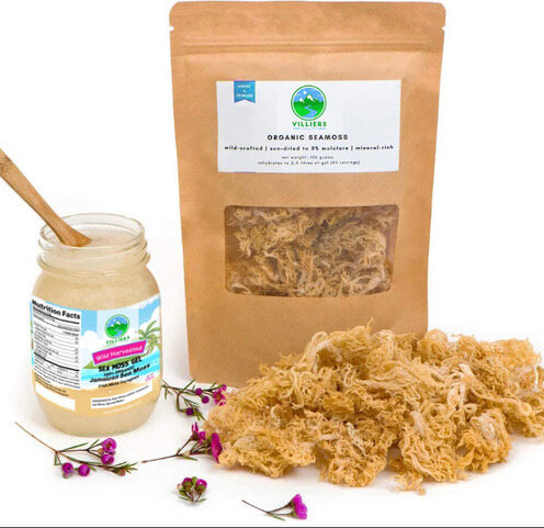 Sea Moss Health Benefits and How to Make Irish Moss/Sea Moss