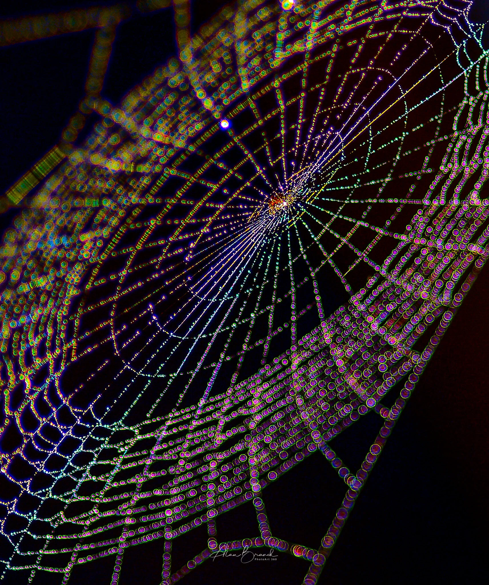 Rainbow web