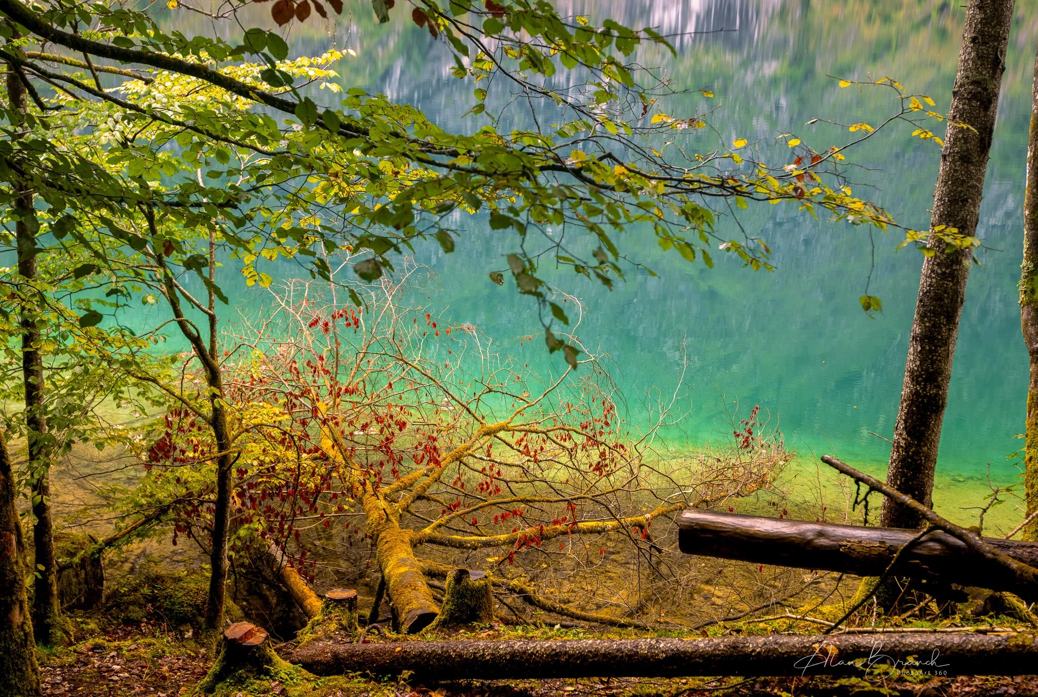 Colours of Lake Obersee