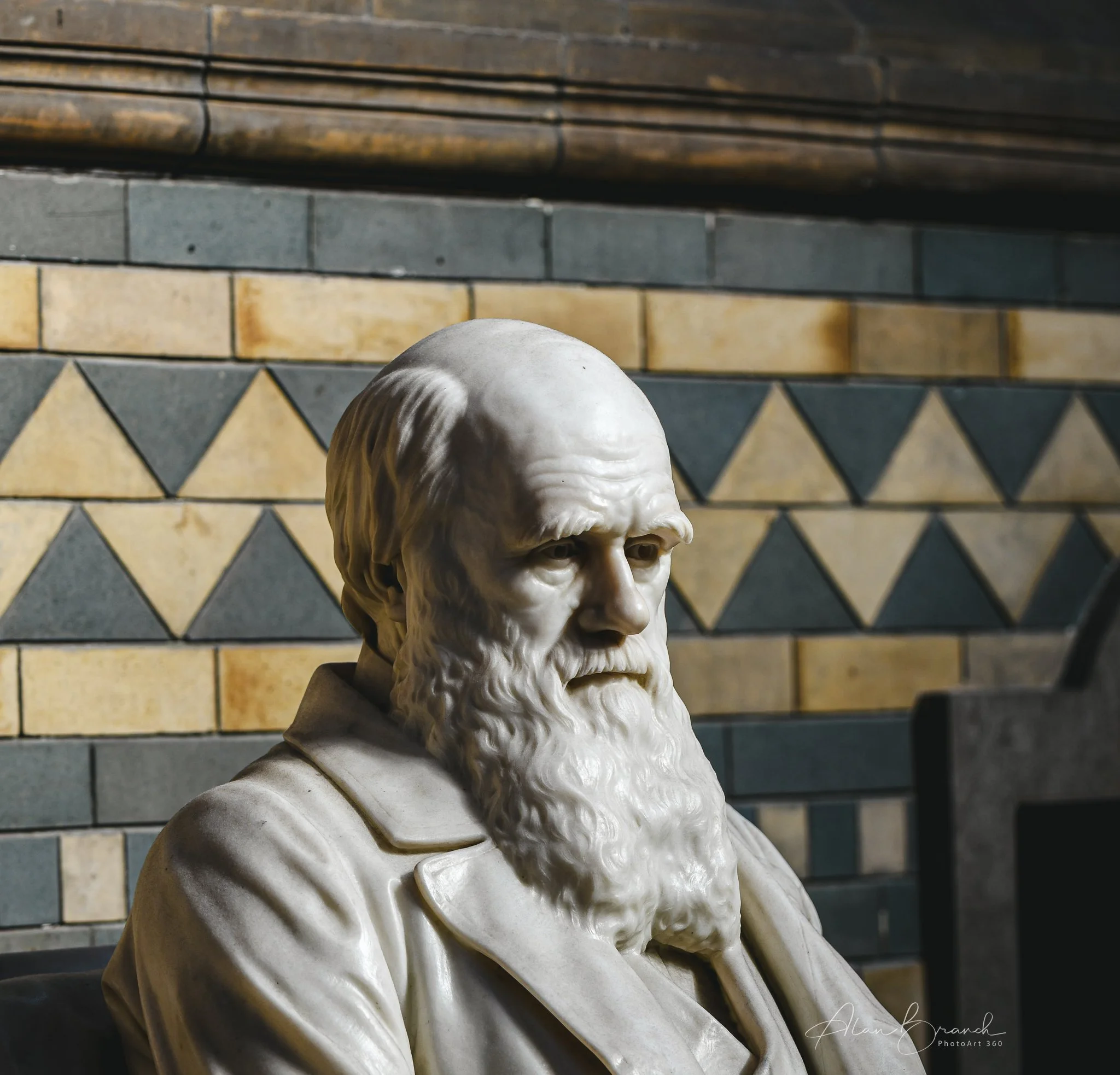 Charles Darwin statue