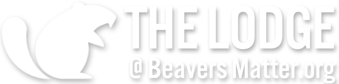 The Beaver Lodge: Photos of Beavers