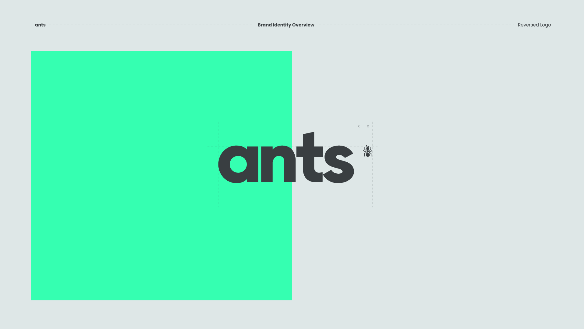 ANTS2.png