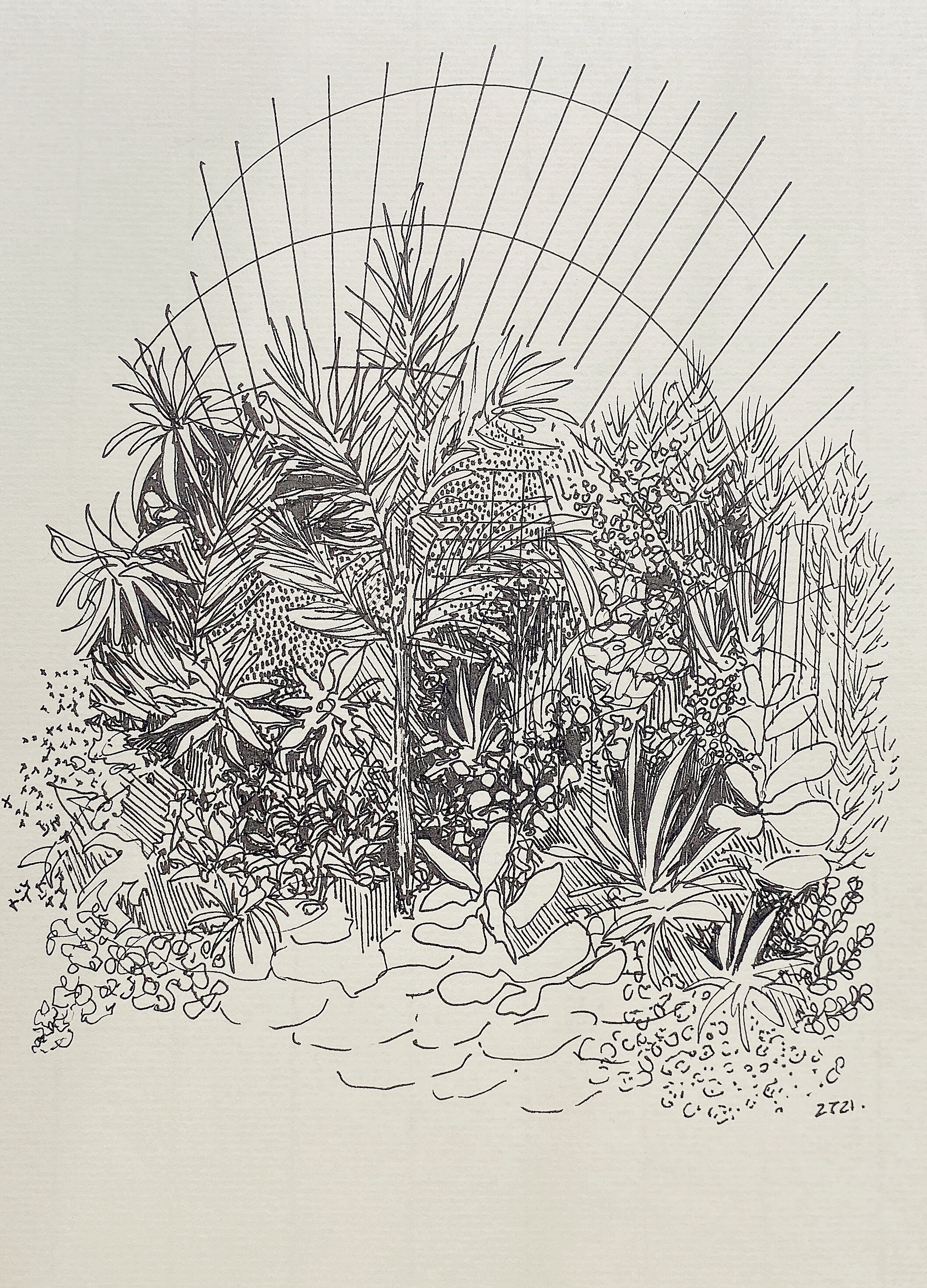 Palmes And Roses. Ink On Paper. 210mm x 298mm.jpg