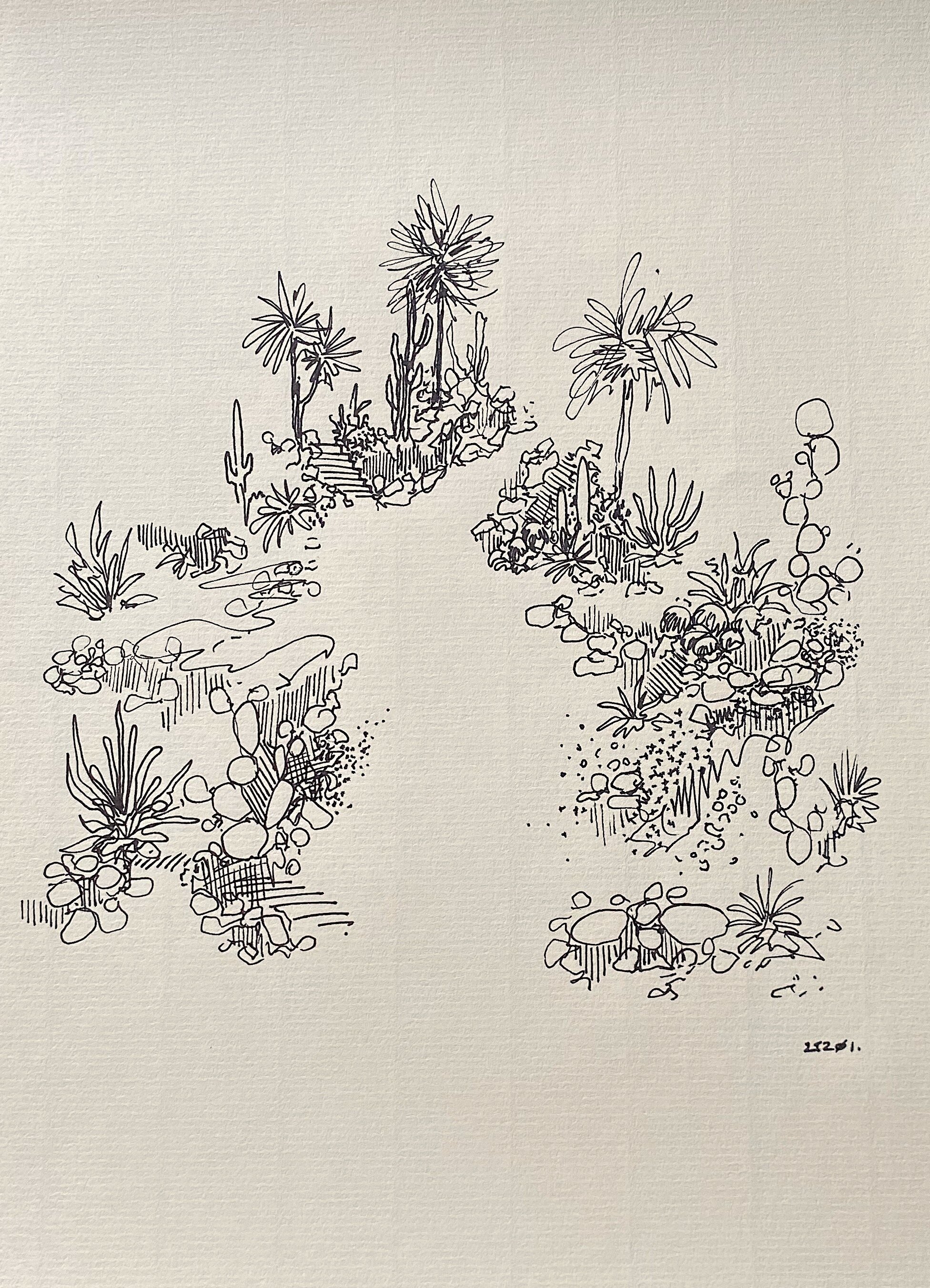 palmistry. Ink on paper. 210mm x 298mm.jpg