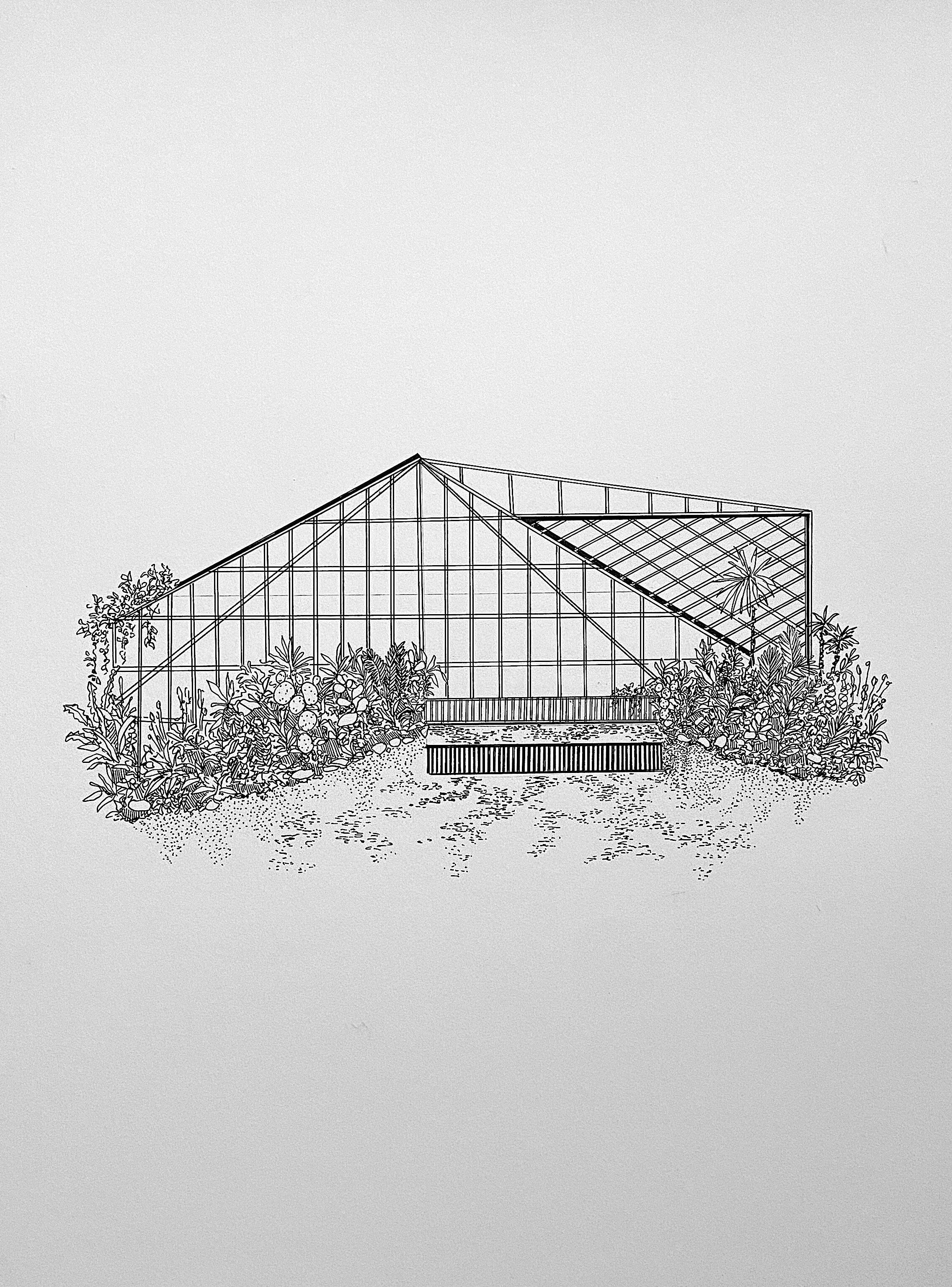 I close my eyes and I'm back to where I was, ink on paper, 550mm x 400mm .jpg
