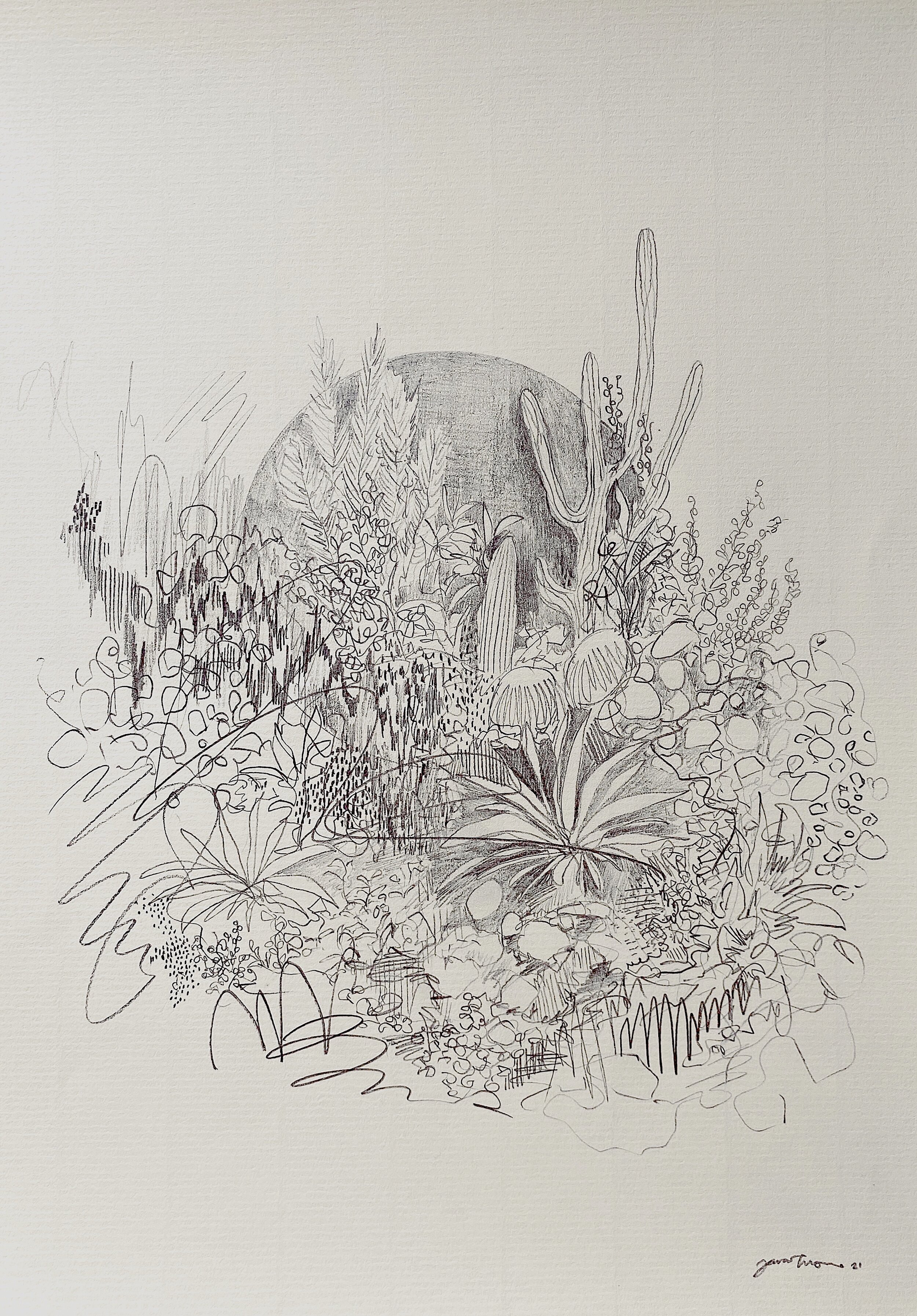 Oh faithful roots, keep me grounded. pencil on paper. 210mm x 298mm.jpg