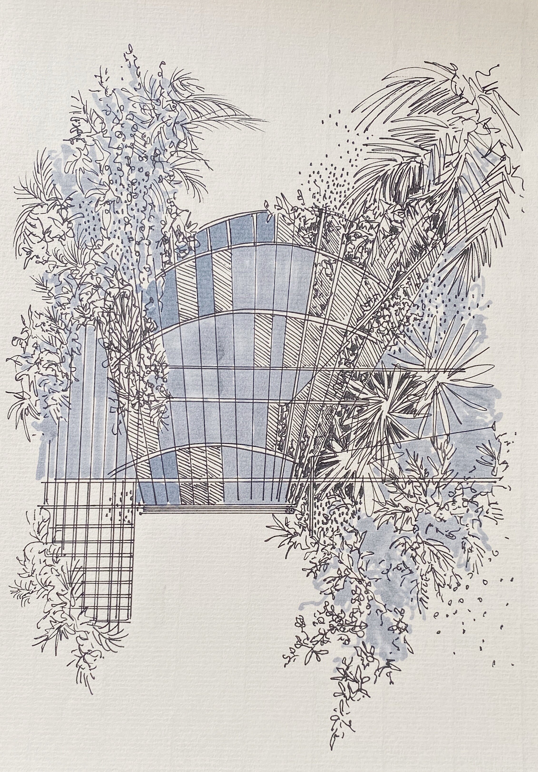 And Then The Night Sky Curtain Drew. Ink On Paper. 210mm x 298mm.jpg