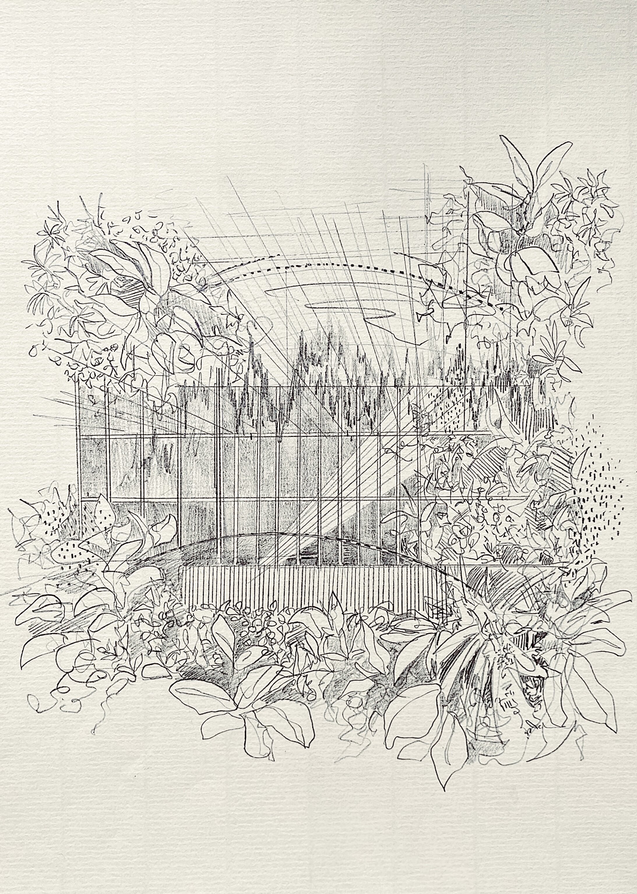 All That May Be Lost Is Not Forgotten. Pencil on Paper. 210mm x 298mm.jpg