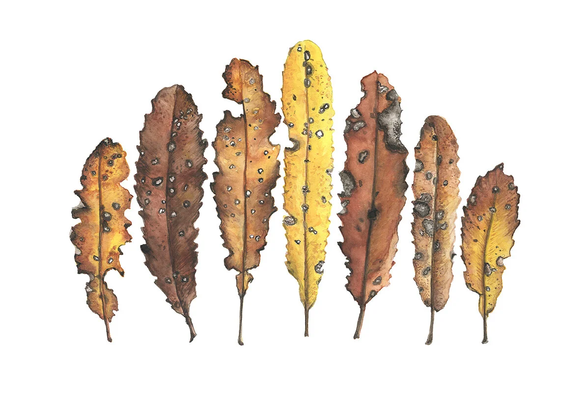 Leaves2 Lo Res.jpg