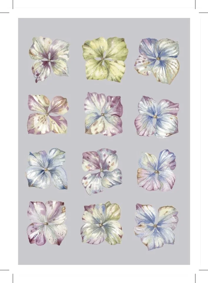Gothic Hydrangea Greeting Card