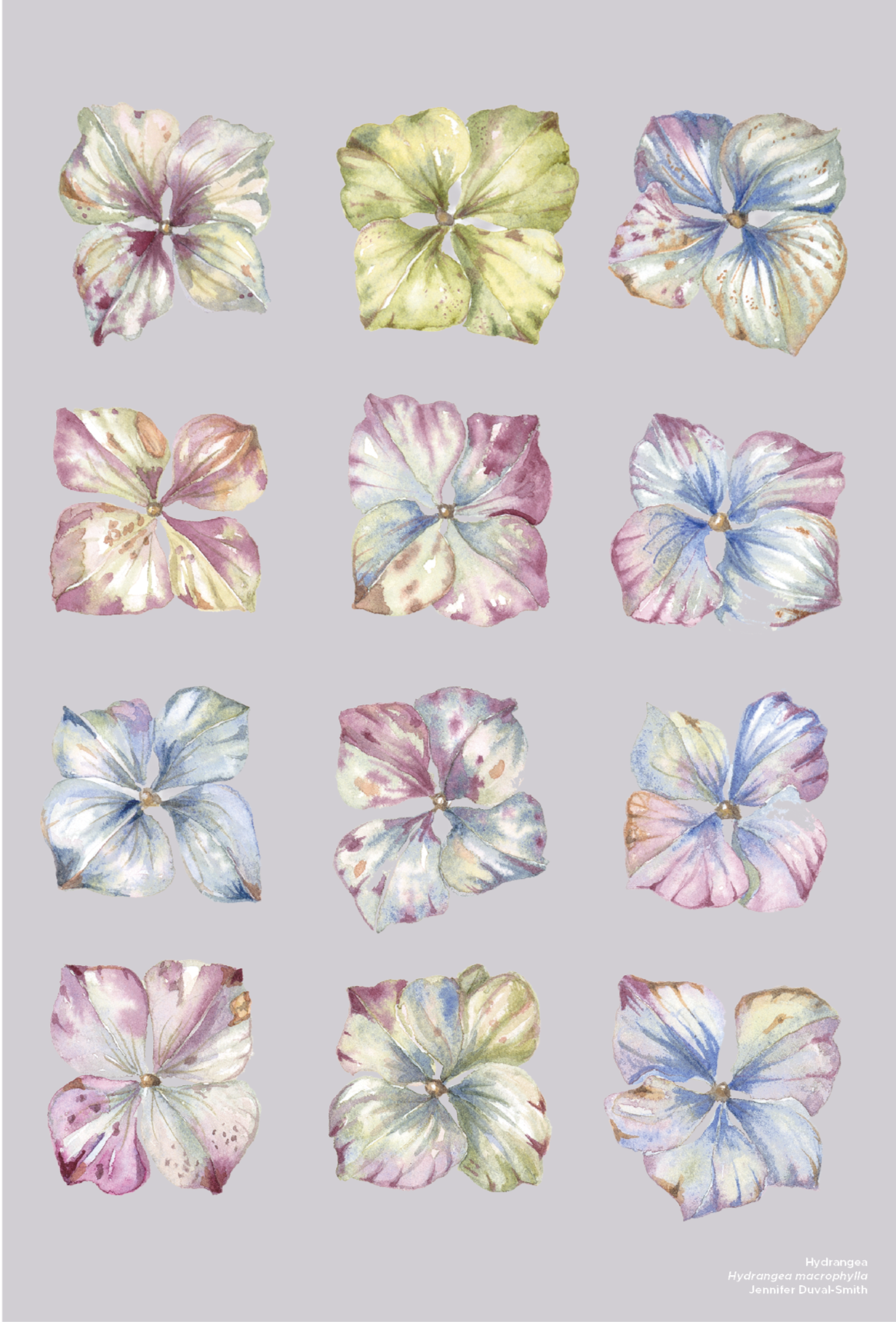 PRE-ORDER Linen Tea Towel - Hydrangea