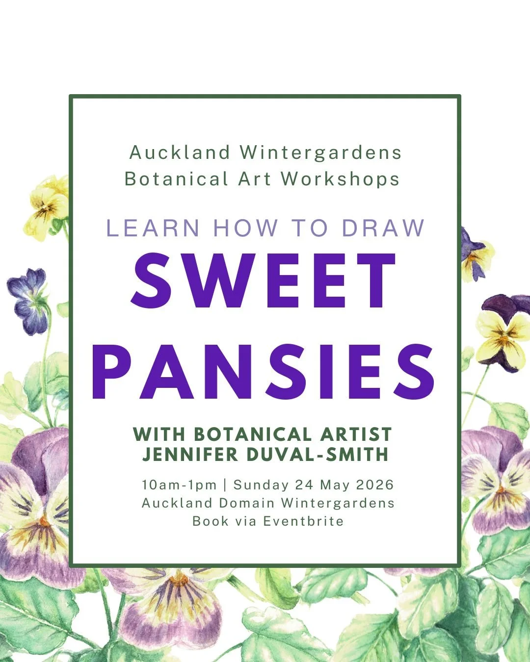 Learn to draw Sweet Pansies And Violas - Wintergardens Botanical Art Workshops