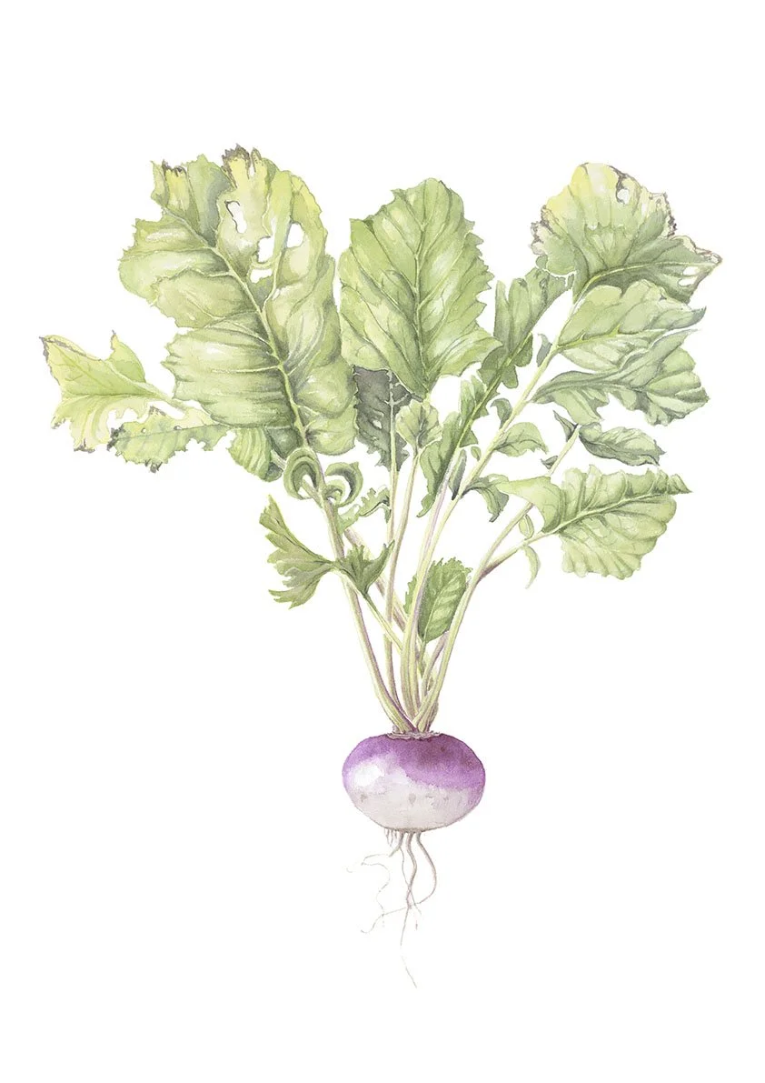 Hunker down for an arty autumn - and go in to win a $75 print!