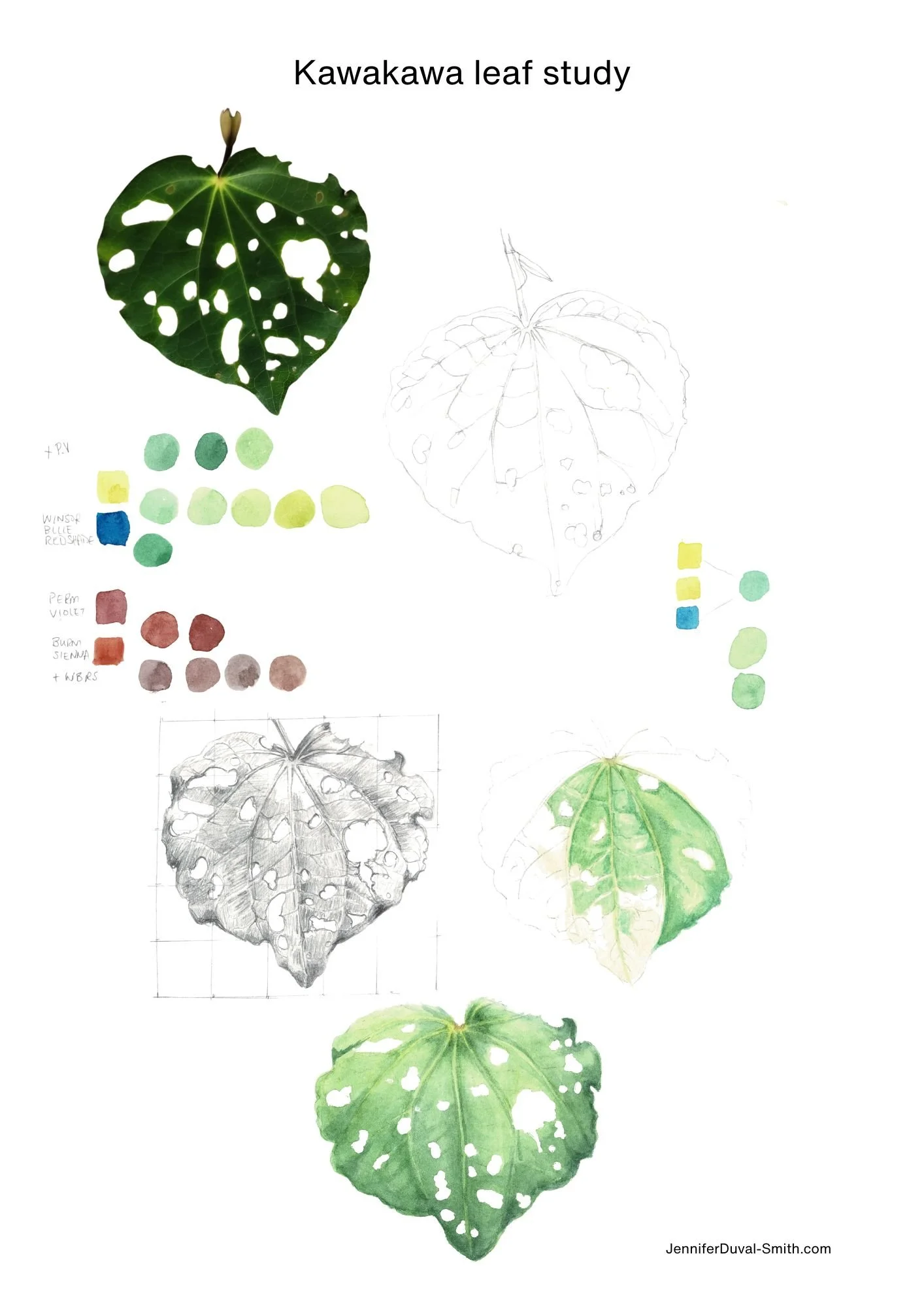 Watercolours with Jennifer Duval-smith Term 3 at Te Uru Gallery