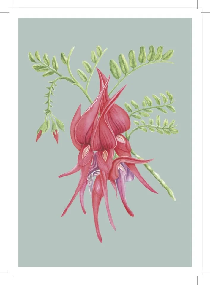 Kakabeak greeting card