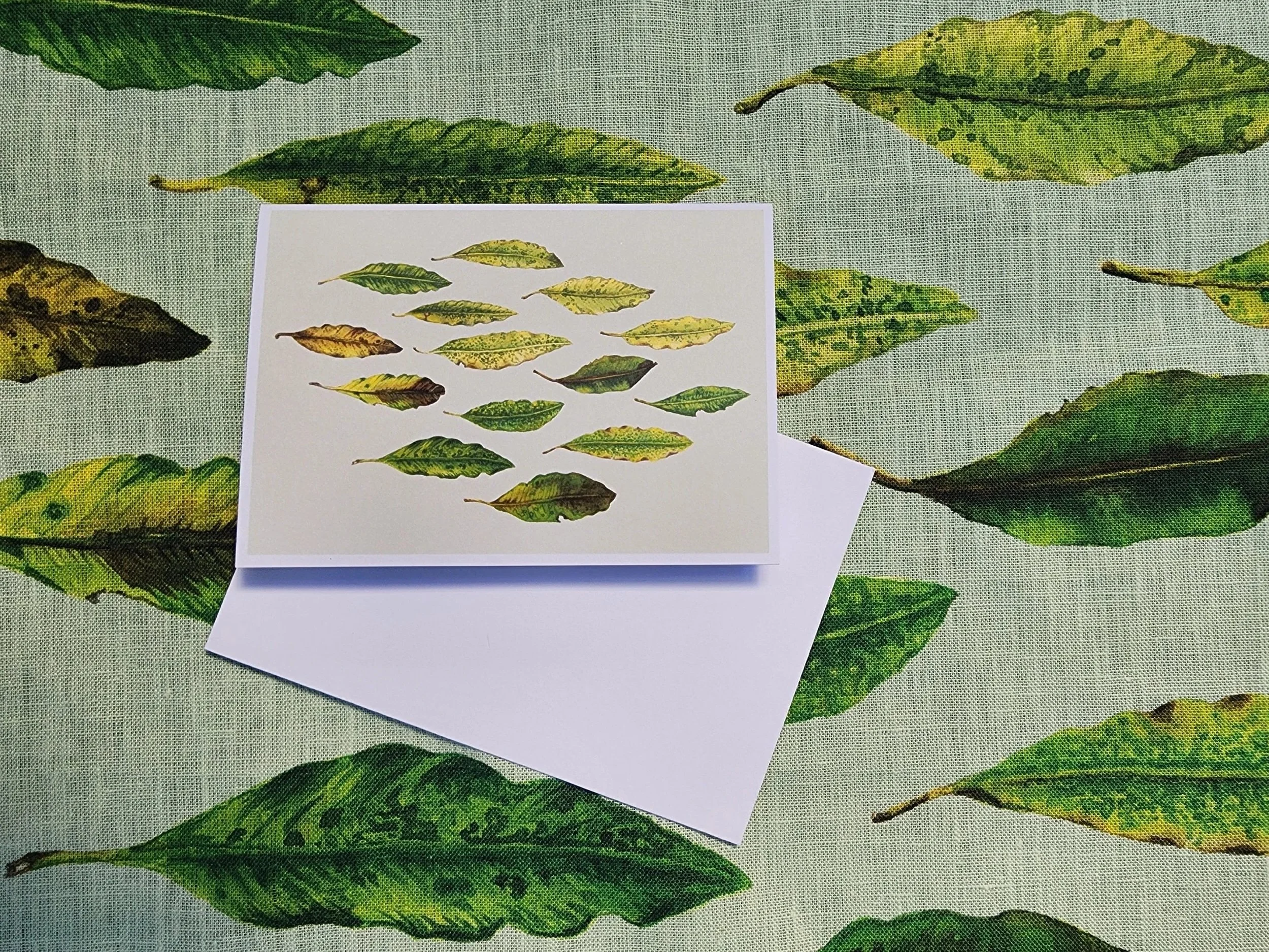 Tarata Leaves Greeting Card