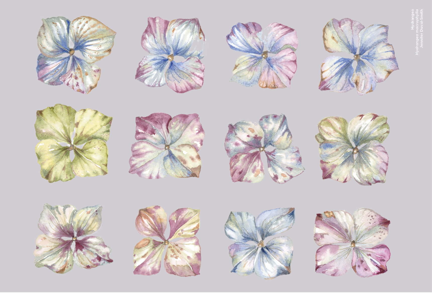 c237d9fe-8229-42d6-9c3e-ab547beb5a64.png