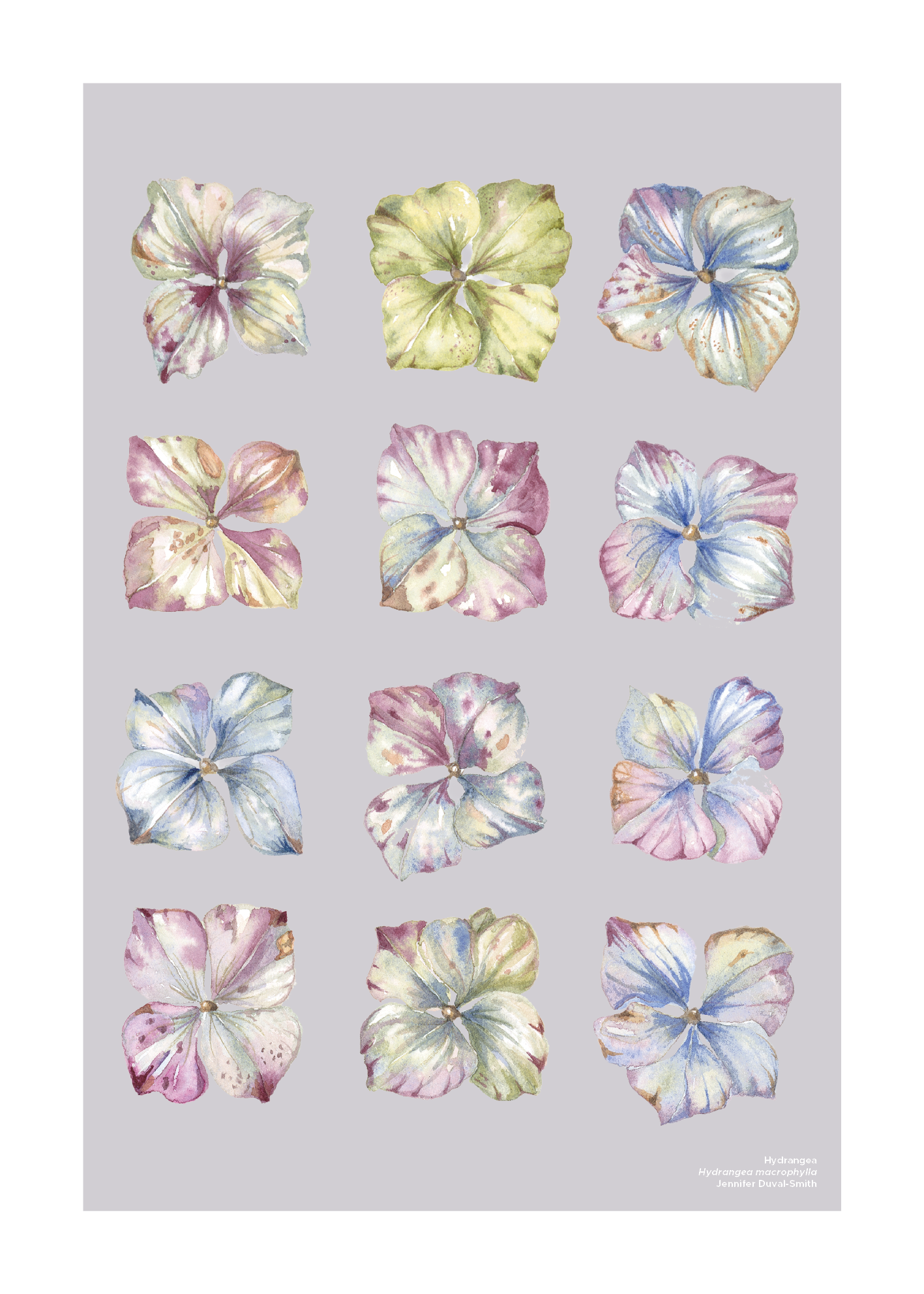 PRE-ORDER Linen Tea Towel - Hydrangea