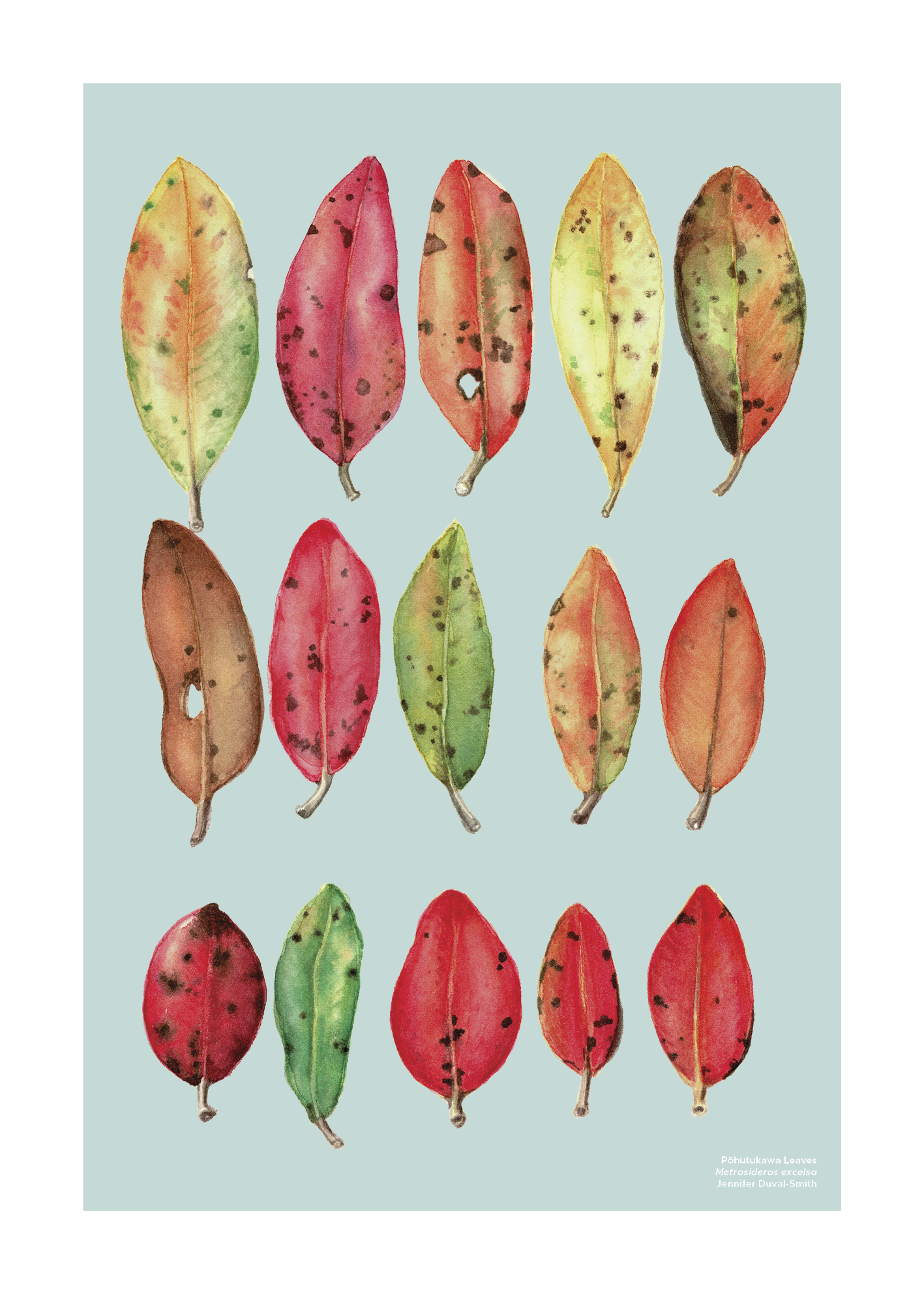 PRE-ORDER Linen Tea Towel - Pohutukawa leaves