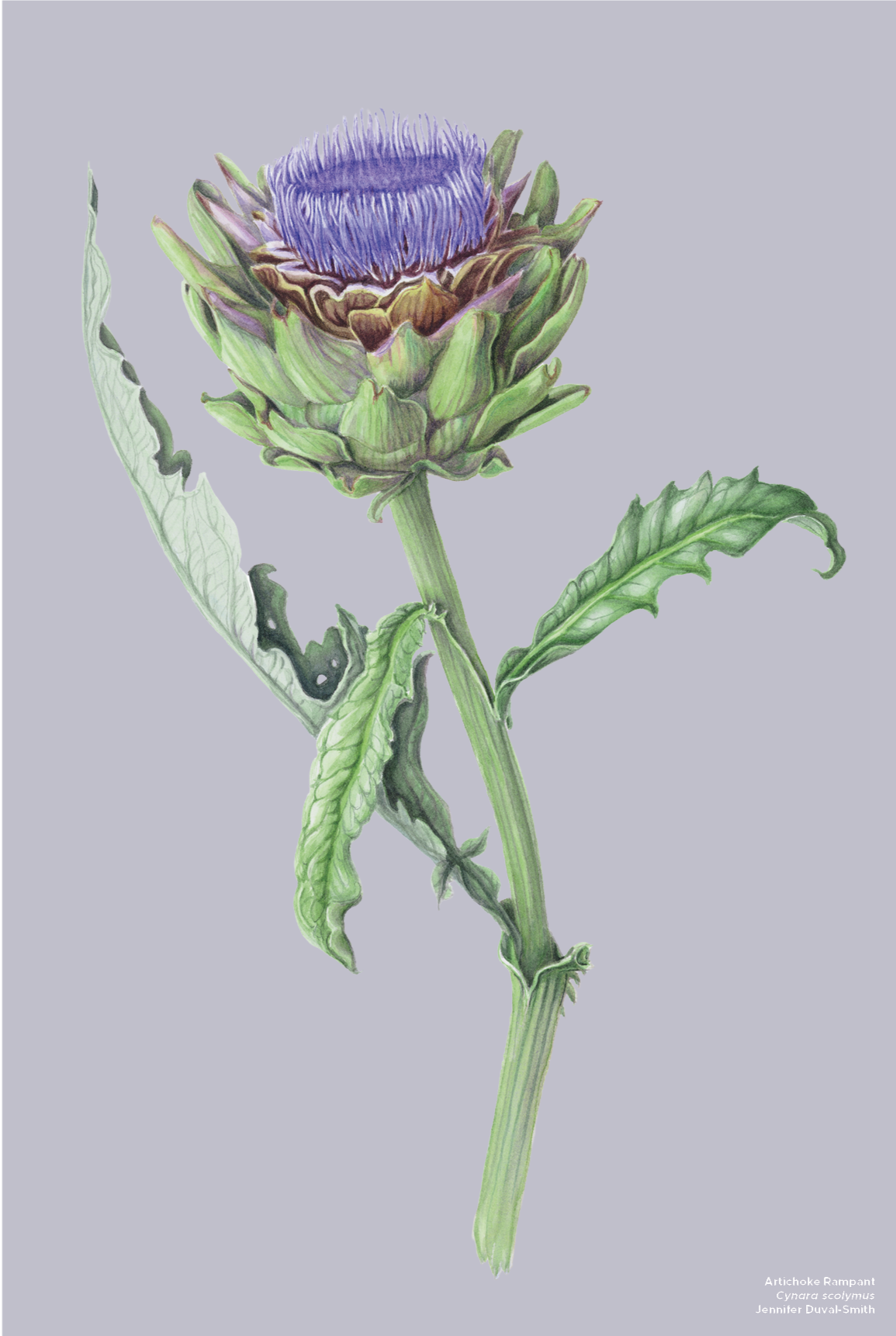 PRE-ORDER Linen Tea Towel - Artichoke Rampant