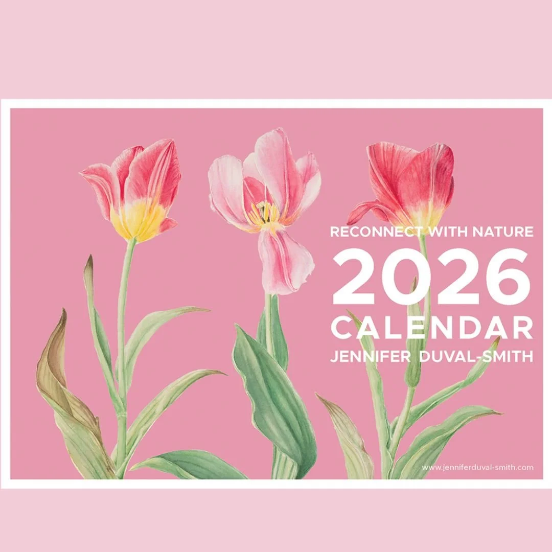 2026 Calendar_Cover_Insta_Jennifer Duval-Smith.jpg