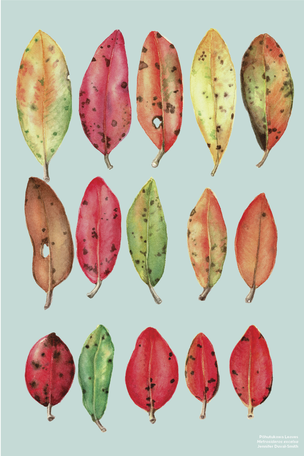 PRE-ORDER Linen Tea Towel - Pohutukawa leaves